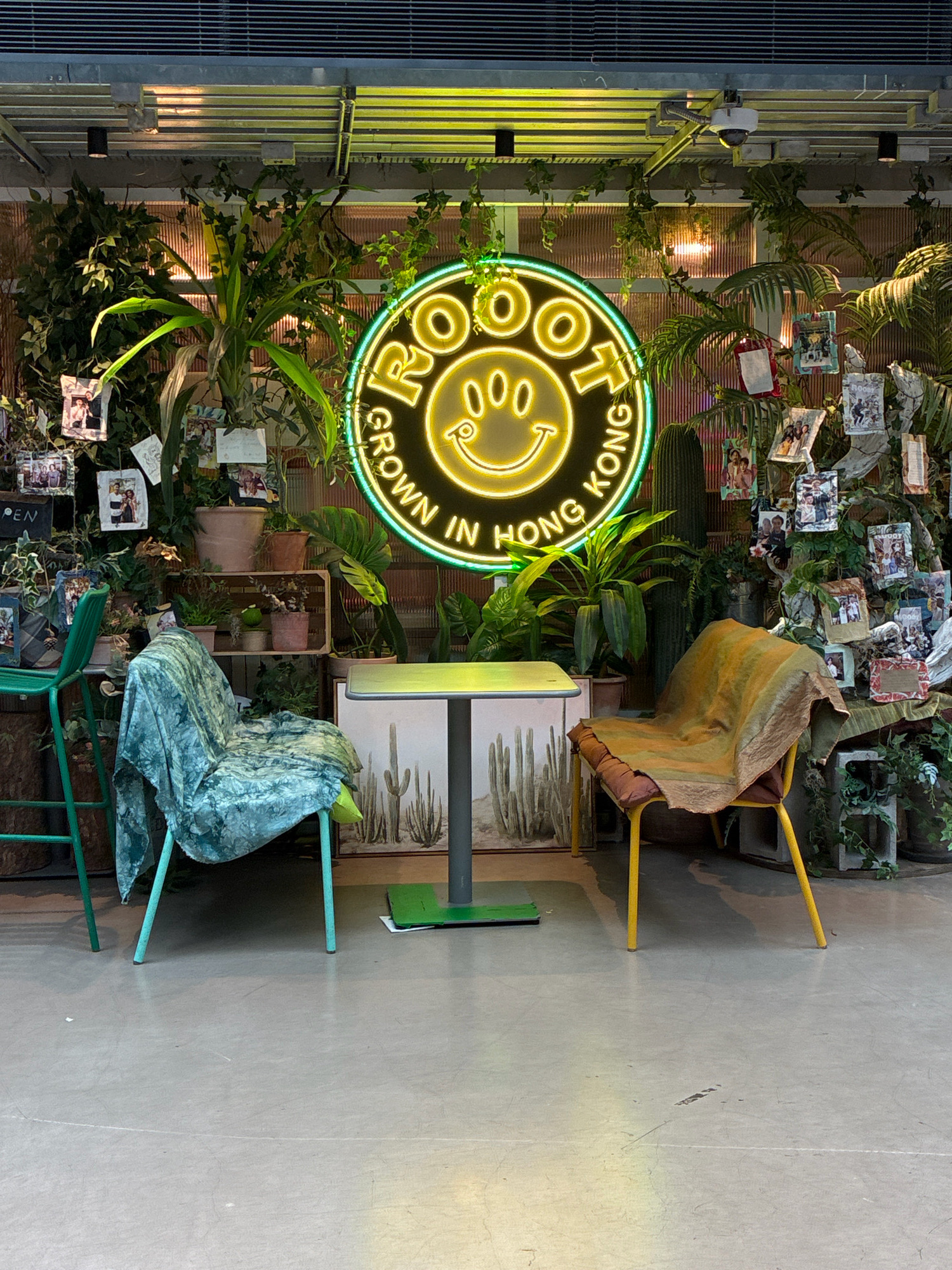The image depicts a cozy, plant-filled cafe or eatery in Hong Kong, China. A prominent neon sign in the center reads "ROOT GROWN IN HONG KONG" with a smiling face in the middle. Two chairs, one draped with a teal fabric and the other with a mustard-yellow fabric, flank a small square table. Behind the seating area, a wall is adorned with numerous framed photographs and an assortment of potted plants, including a large cactus. The flooring appears to be concrete. The overall ambiance suggests a relaxed and visually appealing indoor space, likely a cafe or restaurant that emphasizes its connection to Hong Kong.