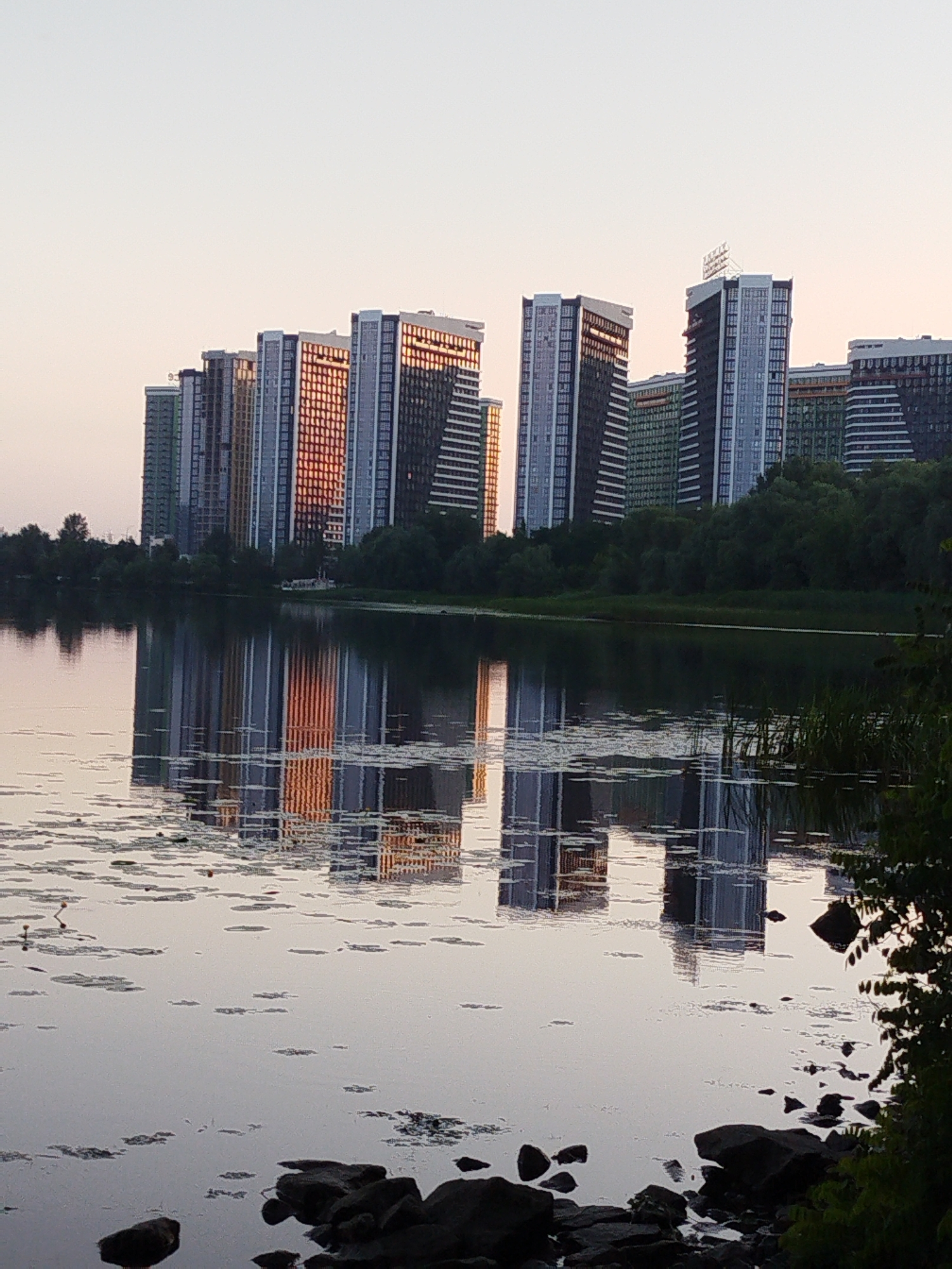 This is a landscape, eye-level, full shot of a modern city skyline reflected in a body of water. The sky is a pale, hazy orange, indicating either dawn or dusk. A row of tall, contemporary buildings, featuring a mix of glass, dark paneling, and some with warm, reddish-orange accents from the sunlight, stand against the sky. The buildings vary in height and architectural style, with some appearing to be residential or mixed-use complexes. In the foreground, a dark, reflective body of water, likely a river or lake, mirrors the city skyline. The water's surface is partially obscured by floating vegetation, appearing as scattered green and brown patches, and a few lily pads. Some dark, jagged rocks are visible along the edge of the water in the lower right portion of the frame. The scene is tranquil and depicts an urban environment bordering a natural water feature.