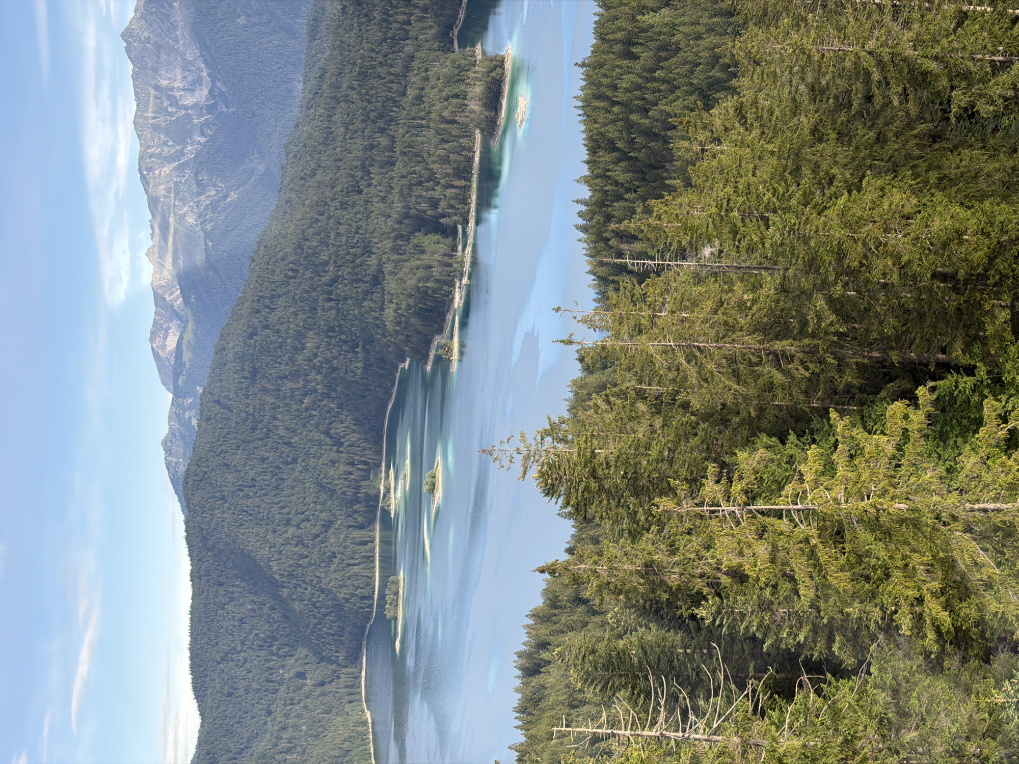 This is an aerial, high-angle, vertical shot of the Eibsee lake near Grainau, Germany. The lake is a vibrant turquoise blue, with several small, tree-covered islands scattered throughout. The water is calm, reflecting the sky and surrounding landscape.
The lake is surrounded by densely forested hills, primarily composed of coniferous trees, which appear as a dark green carpet extending up the slopes. In the background, a range of majestic, rugged mountains rises, their peaks tinged with white, suggesting snow or rock. The sky above is a clear, pale blue, with a few wispy white clouds.
In the foreground, the tops of tall coniferous trees are visible, with some dead, bare branches of older trees interspersed among the living green foliage. The lighting suggests it is daytime, likely late afternoon or early morning, with soft sunlight illuminating the scene and casting gentle shadows. There are no people or visible signs of human activity in the image, presenting a serene and natural landscape.