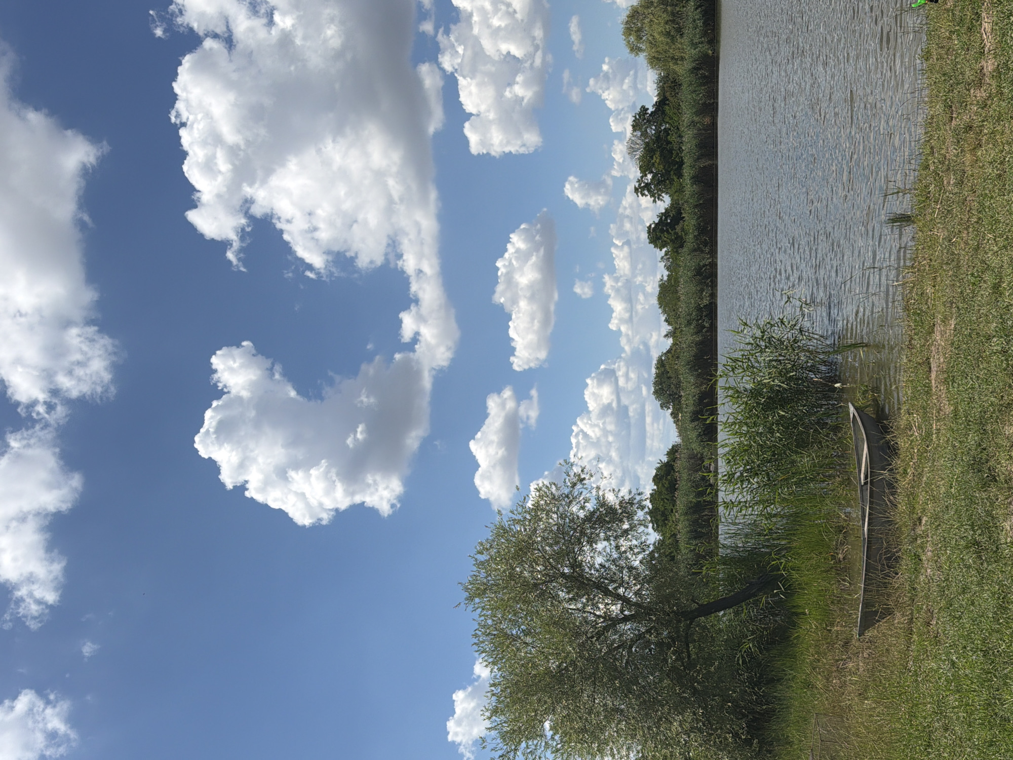 This media file depicts a serene waterside scene under a bright blue sky filled with fluffy white clouds. The setting appears to be a tranquil natural area, likely a lake or riverbank, with lush green grass lining the foreground and a dense line of trees forming a backdrop along the water's edge. The water itself is calm, with gentle ripples reflecting the sky.
A notable object in the scene is a long, narrow boat, possibly a canoe or kayak, resting partially in the water and partially on the grassy bank, nestled amongst reeds. Its presence suggests a leisurely activity like fishing or paddling might be enjoyed here, though no people are visible in the frame, lending to the peaceful and undisturbed atmosphere.
The time of day is clearly daytime, indicated by the bright sunlight and clear sky. The weather appears to be fair and pleasant, ideal for outdoor activities. The presence of abundant vegetation, including trees and tall grasses, suggests a location in a temperate climate. While the specific location is not visually identifiable beyond being a natural body of water, the provided context places it in Karla Marksa, Russia. The overall mood evoked by the image is one of peacefulness and natural beauty. There is no visible text in the image.