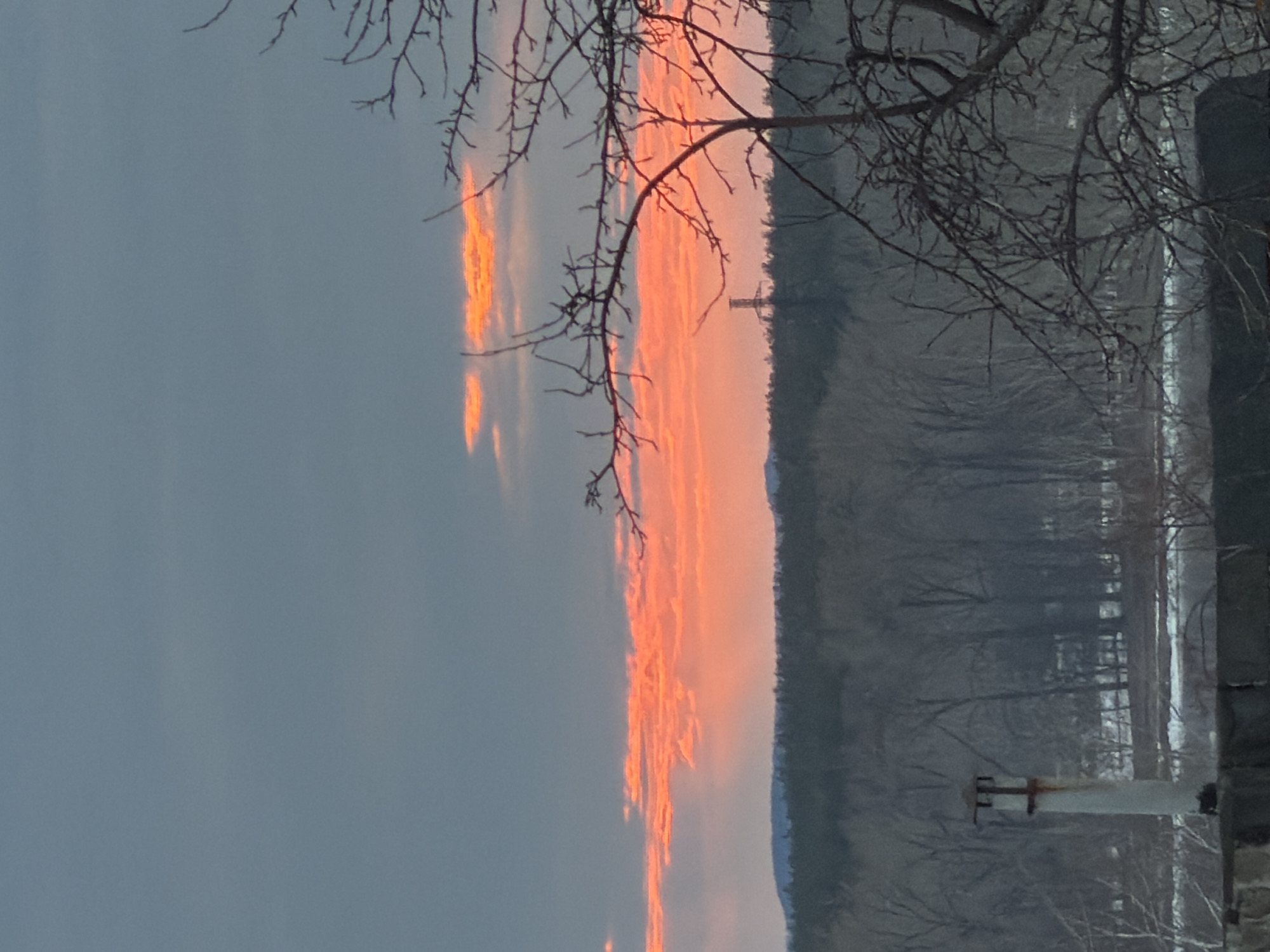The image depicts a vertical panoramic view of a sunset in a location appearing to be Chaikovsky, Russia. The sky features bands of vibrant orange clouds, with a grey, overcast sky above. Bare tree branches are silhouetted in the foreground on the right side of the frame. A dense forest occupies the middle ground, with some hints of snow-covered ground visible. A tall transmission tower can be seen in the distant background. A building's exterior is visible in the right corner with a chimney pipe.