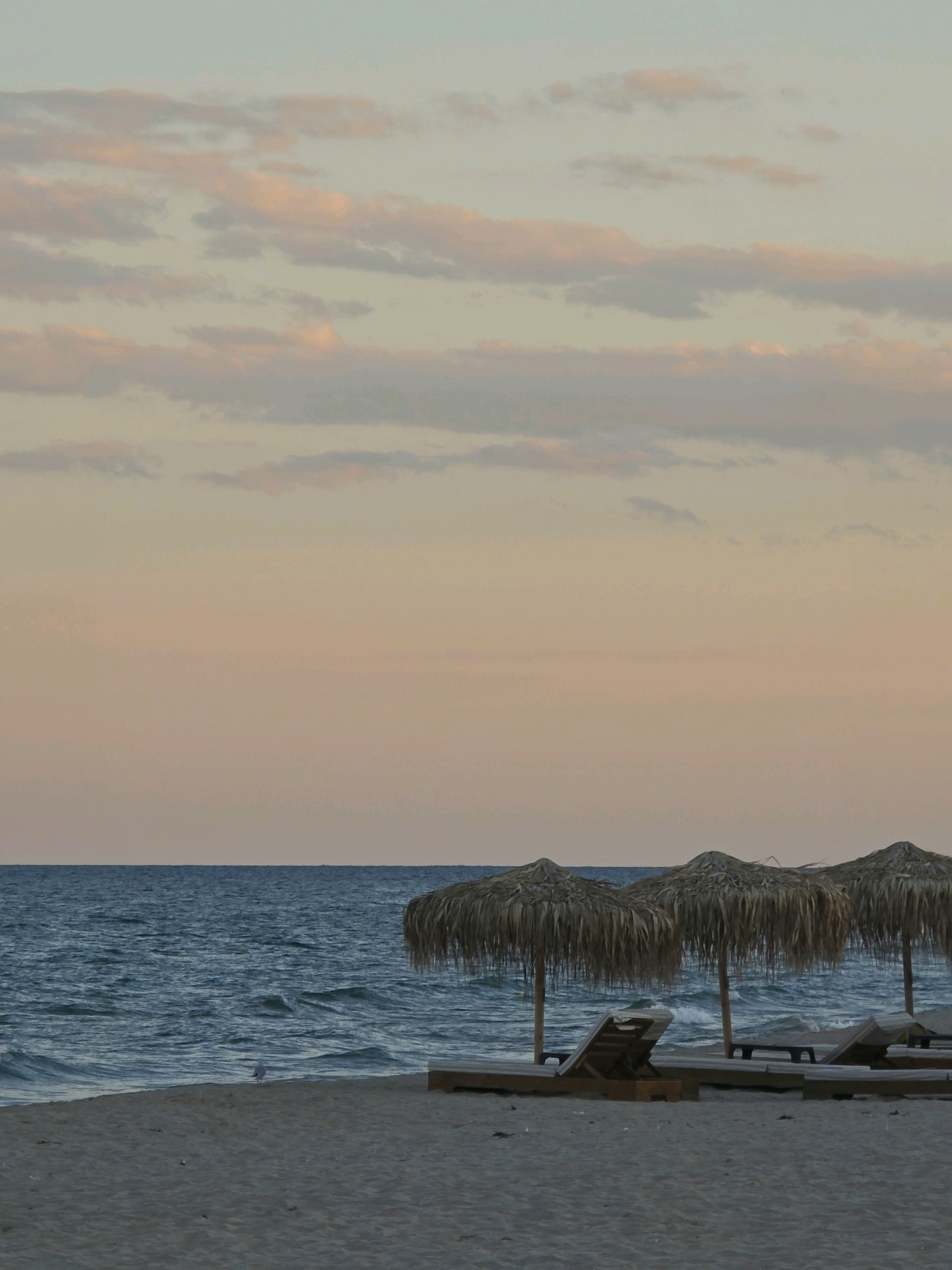 The image depicts a tranquil beach scene in Obrochishte, Bulgaria, likely during the early morning or late evening given the soft, diffused light and pastel hues of the sky. The sky is a gradient of pale blue and peach, with scattered, wispy clouds tinged with pink and orange. Below the sky, a vast expanse of deep blue sea stretches to the horizon, with gentle waves creating a textured surface. The water meets a sandy beach in the foreground, composed of light brown sand. Along the edge of the water, several thatched umbrellas are set up, each supported by wooden poles, providing shade for empty lounge chairs. The lounge chairs are made of wood and are angled towards the sea. In the middle ground, a single seagull stands near the water's edge, looking towards the sea. The overall atmosphere is one of quiet serenity and natural beauty.