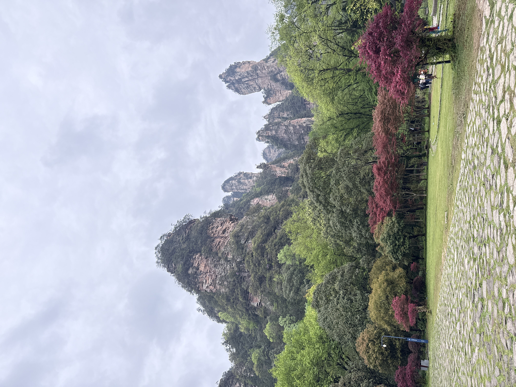 The image shows a landscape in Luoguta, China. The foreground features a stone-paved walkway and a grassy area with various trees, some with reddish-purple leaves. In the background, there are jagged, rocky mountain formations and a cloudy sky. There appear to be some individuals on a bench near a tree to the right of the frame. A streetlight is visible near the lower left corner.