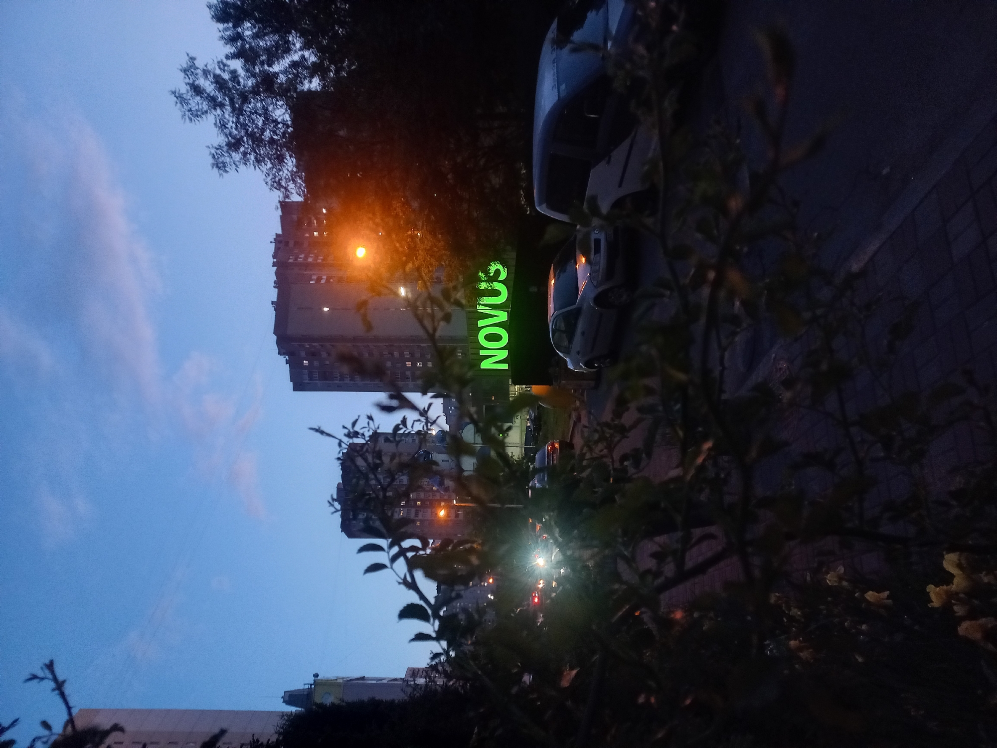 The image depicts a nighttime urban scene in Kyiv, Ukraine. The most prominent feature is the illuminated green "NOVUS" sign, likely indicating a supermarket chain prevalent in the region. Tall apartment buildings rise in the background, some with lights visible in the windows. Streetlights cast an orange glow. In the foreground are branches and foliage. A few cars are parked nearby. The sky is a deep blue, suggesting it is either late evening or early morning.