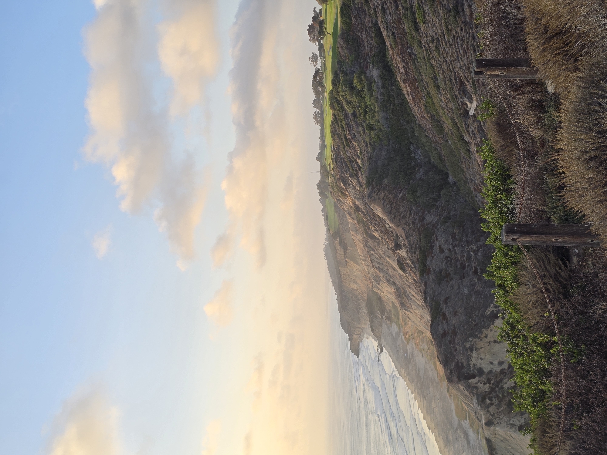 This is a vertical, eye-level, medium shot of a coastal cliffside golf course at Torrey Pines State Reserve in San Diego, California, USA, during the golden hour. The image is dominated by the serene ocean and sky, with the rugged terrain of the cliffs and the manicured greens of the golf course occupying the mid-ground and upper right.
In the foreground, a rustic chain-link fence with weathered wooden posts marks the edge of the overlook. Dry, golden grasses and some low-lying green bushes are visible immediately behind the fence.
The middle ground features the dramatic, layered cliffs that drop down to a sandy beach and the Pacific Ocean. The waves are gentle, with white foam cresting as they approach the shore. The cliff faces exhibit a mix of tan and brown rock strata, with patches of scrubby vegetation clinging to their slopes.
The upper portion of the image is a wide expanse of the sky. Soft, pastel-colored clouds, tinged with the warm hues of the setting sun, are scattered across a pale blue canvas. The light is diffused, creating a tranquil and serene atmosphere.
In the upper right quadrant, a lush green golf course is visible, dotted with scattered trees. The contours of the fairways and greens are clearly defined, indicating a well-maintained landscape. A tall, slender radio tower is visible in the far distance, beyond the golf course.
There are no visible people in the image, making it a solitary and natural scene. The overall impression is one of natural beauty combined with human intervention through the presence of the golf course.
