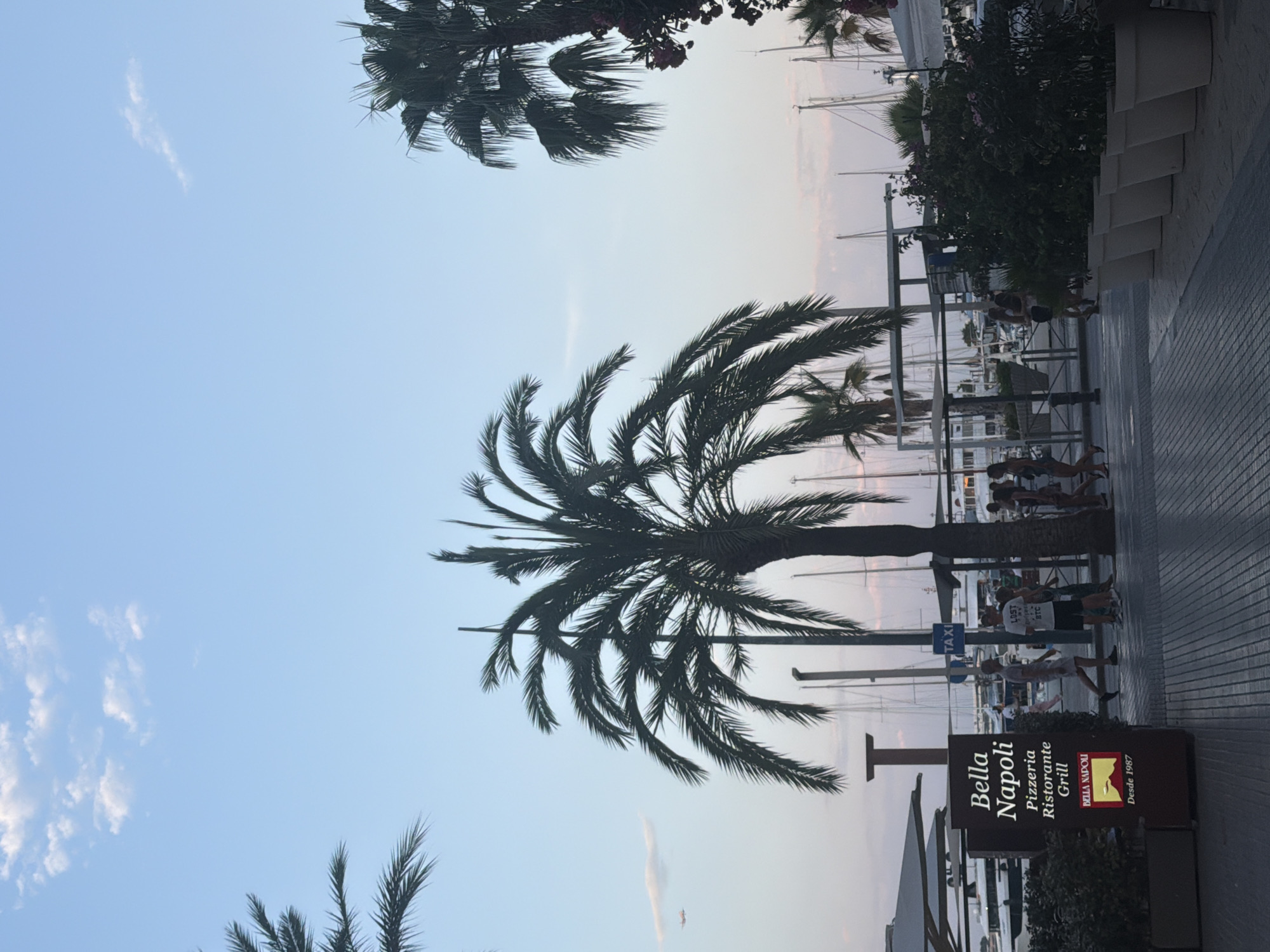 The image depicts a waterfront scene in Ibiza, Spain, likely in the early evening. Dominating the foreground is a large palm tree, silhouetted against a pale blue sky with scattered clouds and a hint of pink from the setting sun. To the left, another palm tree's fronds are visible, and in the far distance, a small airplane can be seen.
A sign for "Bella Napoli Pizzeria Ristorante Grill" stands prominently on the left, displaying its name and a logo with a mountain and sun, along with "Desde 1987." A paved walkway with a distinct striped pattern stretches across the lower portion of the image.
Several people are walking along the walkway. On the left, two individuals are walking towards the right. Further to the right, a group of people are walking together, some appearing to be tourists. One man wears a white t-shirt with text, and another person is wearing a dark dress.
In the background, a marina is visible, filled with numerous sailboats and yachts. Structures resembling awnings or umbrellas are present, along with a "TAXI" sign. Lush green plants in large white pots line the walkway on the right side of the image, adding to the Mediterranean ambiance. The overall atmosphere suggests a relaxed evening in a popular tourist destination.