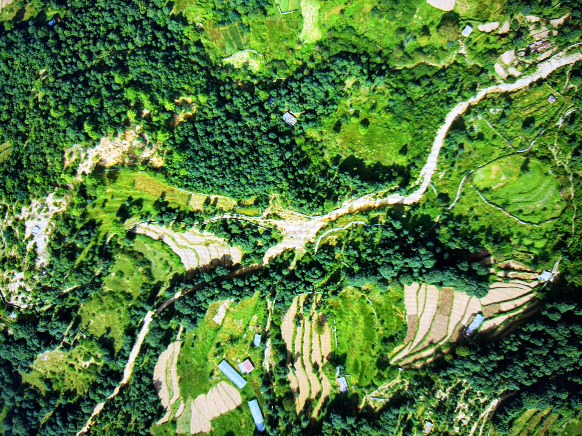 This is an aerial photograph of a rural, mountainous landscape. The image is dominated by lush green vegetation, with dense forests covering much of the terrain. Interspersed within the forests are terraced fields, appearing as horizontal bands of lighter-colored soil, suggesting agricultural activity. A winding, light-colored path or road cuts through the scene, connecting different areas. Scattered throughout the landscape are a few small buildings, some appearing to be residential structures and others possibly storage facilities. The terrain is uneven and sloped, indicative of a hilly or mountainous region. The photograph does not depict any urban elements, cityscapes, or specific landmarks that would identify it as being located in Kyiv, Ukraine.