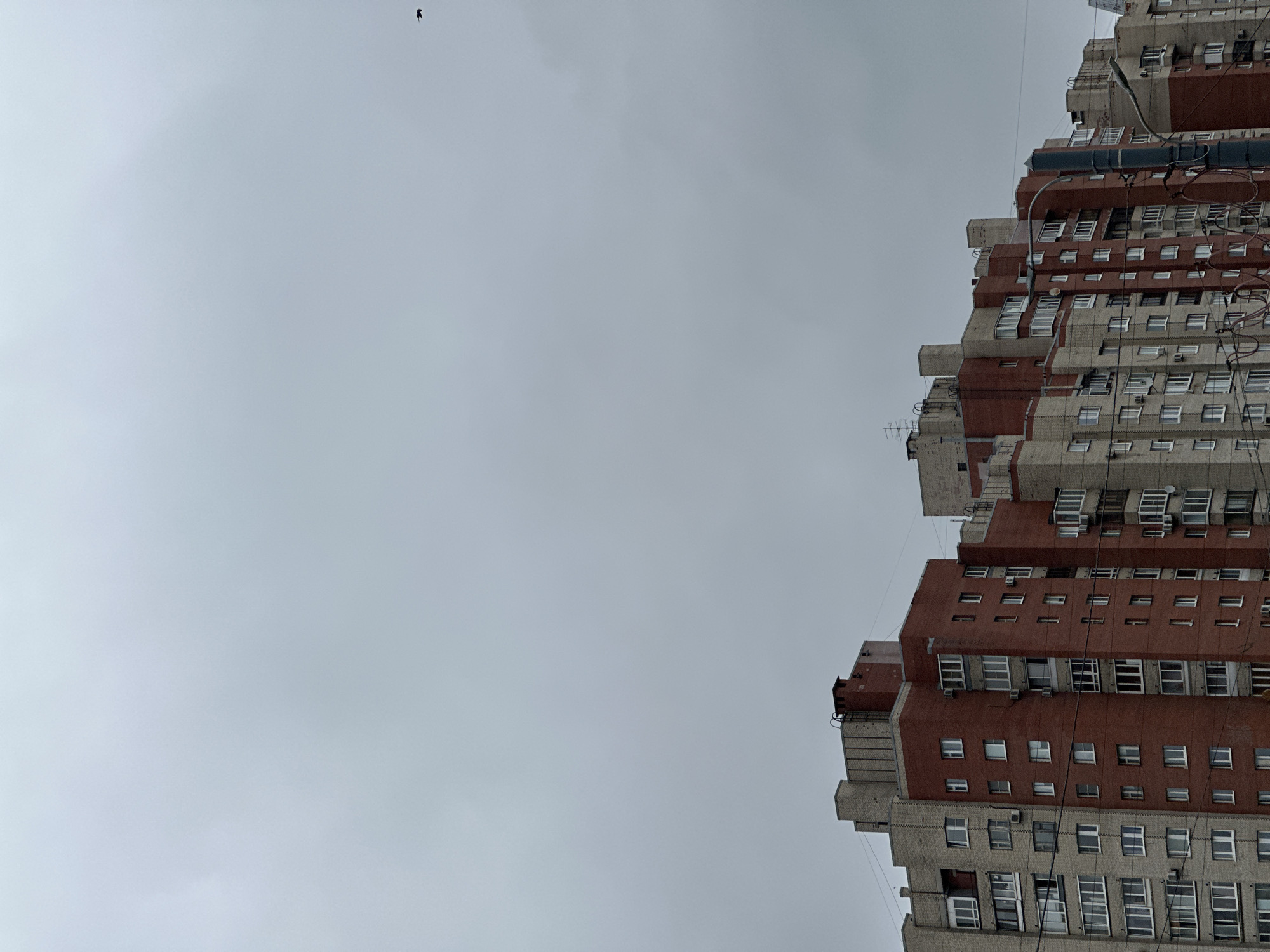 A low-angle, vertical shot captures the upper sections of several monolithic apartment buildings against a flat, overcast sky. The buildings, constructed with a mix of light grey and red brick, feature numerous windows and balconies. Some buildings have visible air conditioning units mounted on their facades. Chimneys and ventilation pipes protrude from the rooftops, along with antennas. A utility pole with streetlights and numerous wires is visible in the right foreground. A single bird is silhouetted in the sky to the upper right. The scene appears to be set in a residential area of Saint Petersburg, Russia, given the architectural style.