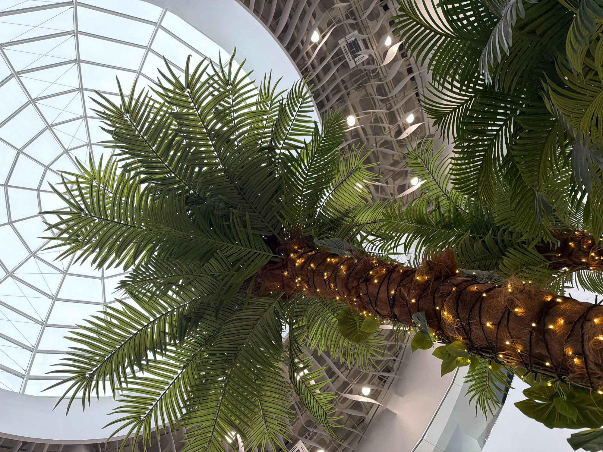 This upward-facing low-angle shot captures a large, artificial palm tree adorned with string lights, set against a modern architectural backdrop in Izhevsk, Russia. The tree features numerous green fronds, typical of a palm, fanning out from a thick, textured brown trunk. Warm white fairy lights are wrapped around the trunk, illuminating its fibrous surface and casting a soft glow.
In the upper left and central background, a prominent architectural feature is visible: a large, domed skylight composed of a white, grid-like structure and translucent panels, allowing ambient light to filter into the space. This suggests a spacious indoor environment. Towards the right and further in the background, a distinct modern ceiling design is visible. It features undulating white or light-grey panels arranged in a wave-like pattern, with several recessed light fixtures emitting soft white light.
No people or specific activities are depicted. The scene is static, highlighting the decorative elements within a public indoor space, likely a shopping mall, atrium, or similar large building given the design and the artificial foliage. The presence of the illuminated palm tree suggests a festive or tropical aesthetic. There is no visible text. The bright light from the skylight indicates it is likely daytime, though the indoor lighting creates a perpetually lit environment.