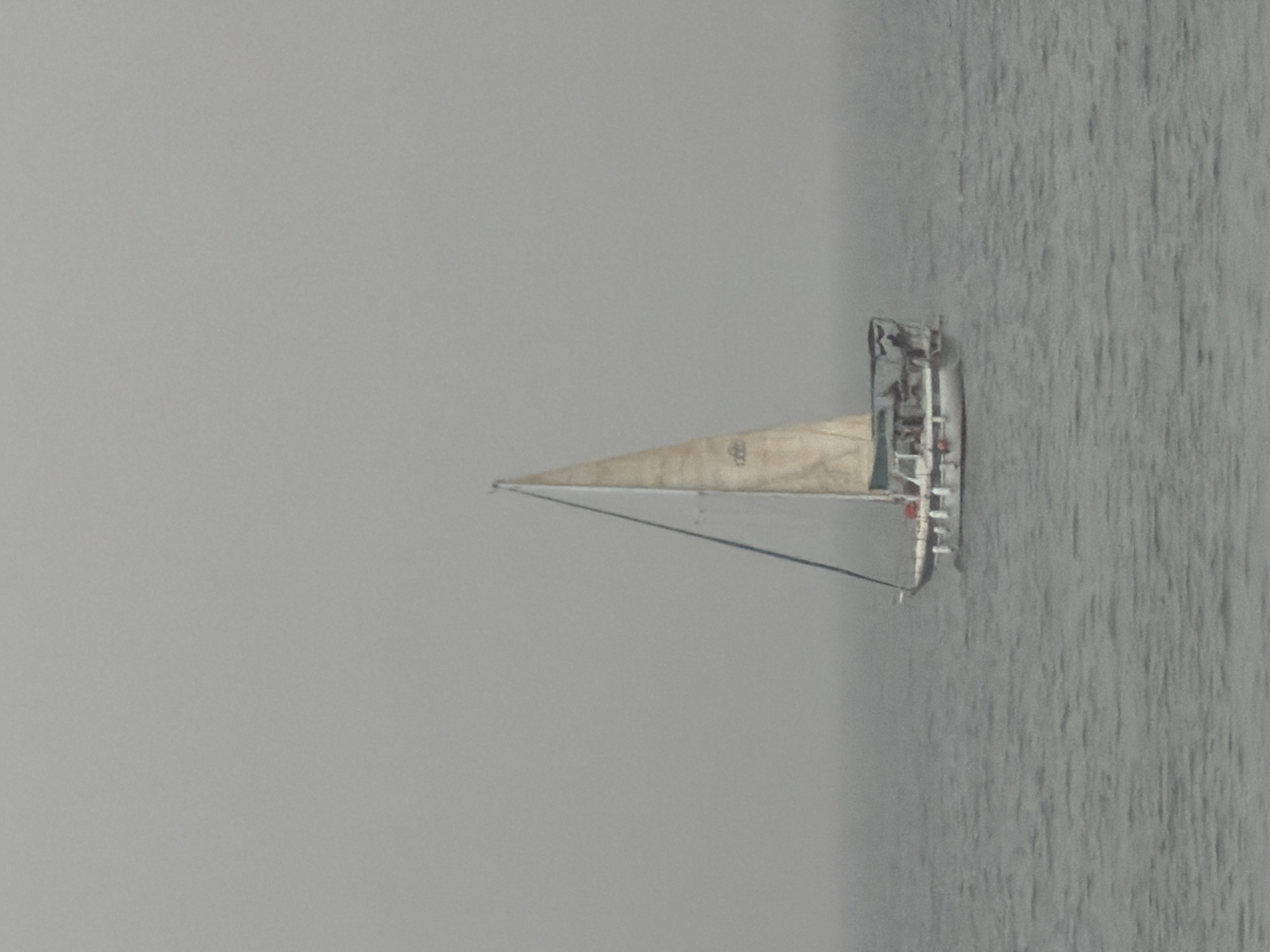 A sailboat sails on the open water. The boat has a single sail. The water extends from the right of the frame into the middle. The sky/fog is on the left side of the image.
I cannot provide the location in the city of Tel Aviv, Israel based on the image.