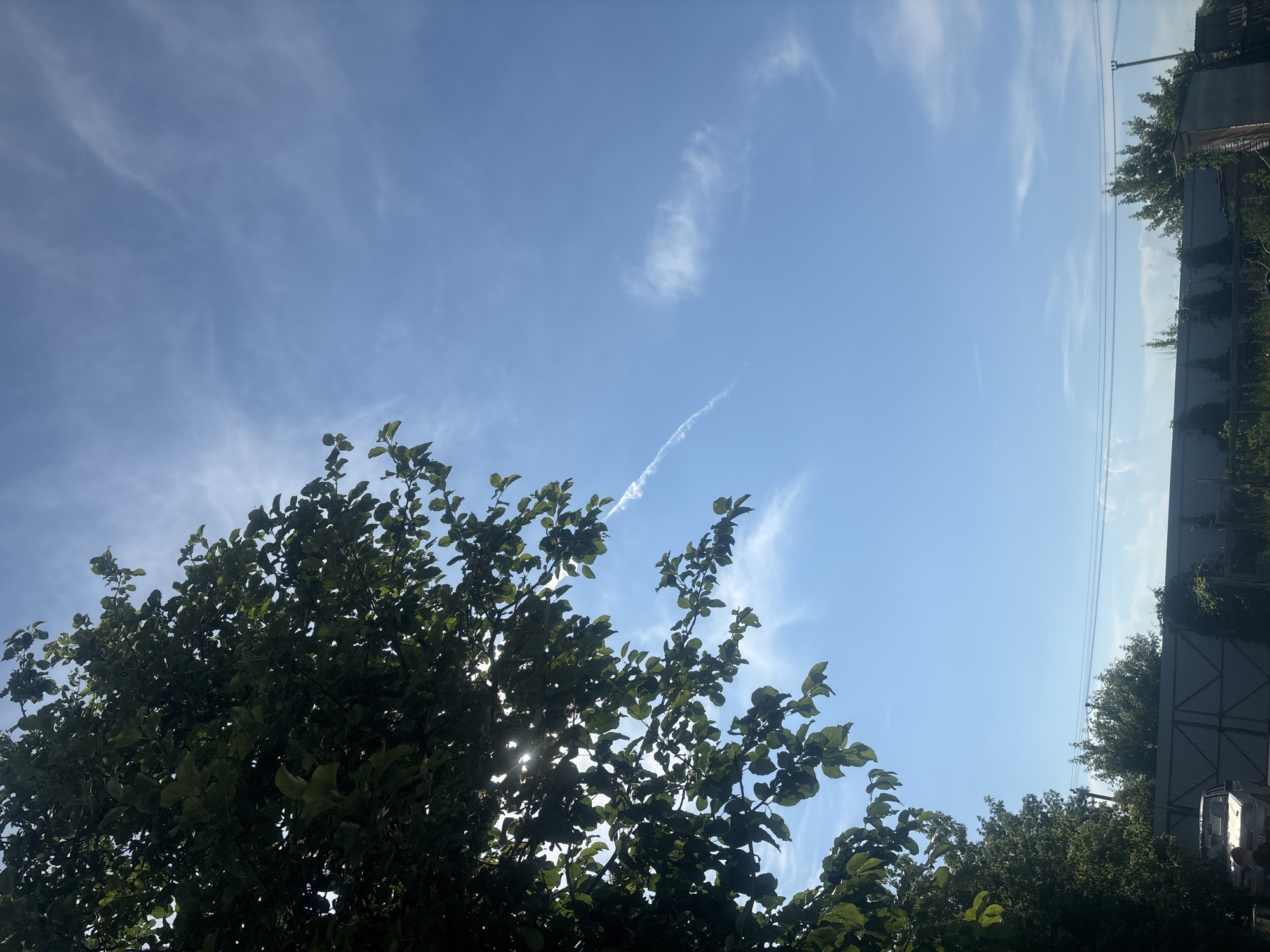 A bright, sunny day is depicted in Novokuybyshevsk, Russia, with a clear blue sky dotted with wispy white clouds. Sunlight filters through the dense green leaves of a large tree in the foreground, casting dappled shadows. Below the tree line, a metal fence runs horizontally across the frame, partially obscured by overgrown green vegetation. A weathered, light-colored sedan is parked near the left edge of the fence. Power lines are visible stretched across the mid-ground, above the fence and trees. The overall scene suggests a somewhat overgrown, possibly semi-urban or rural outdoor setting under a pleasant sky.