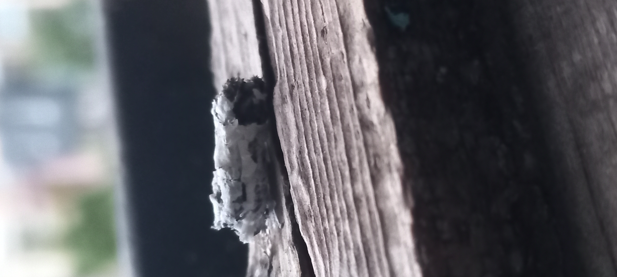 The image depicts a scene in Kryvyi Rih, Ukraine. A single, spent cigarette butt, predominantly white and gray ash, rests horizontally on a weathered, light brown wooden surface. The right end of the cigarette butt shows a darker, charred residue. The wooden surface exhibits prominent parallel grain lines, indicating its texture and age, and a crack or seam is visible to the left of the cigarette. Below the main wooden surface, a darker, out-of-focus wooden element is partially visible, featuring a small, faded greenish-blue mark on its right side. The background is severely out of focus, rendering it as a blurry bokeh. Vague shapes suggest distant urban or suburban structures with muted colors, including light blues, grays, and faint hints of pink or beige. A patch of blurred green vegetation is discernible on the mid-left side of the background. The scene is illuminated by diffused natural light. No individuals or active interactions are visible; the scene is static.