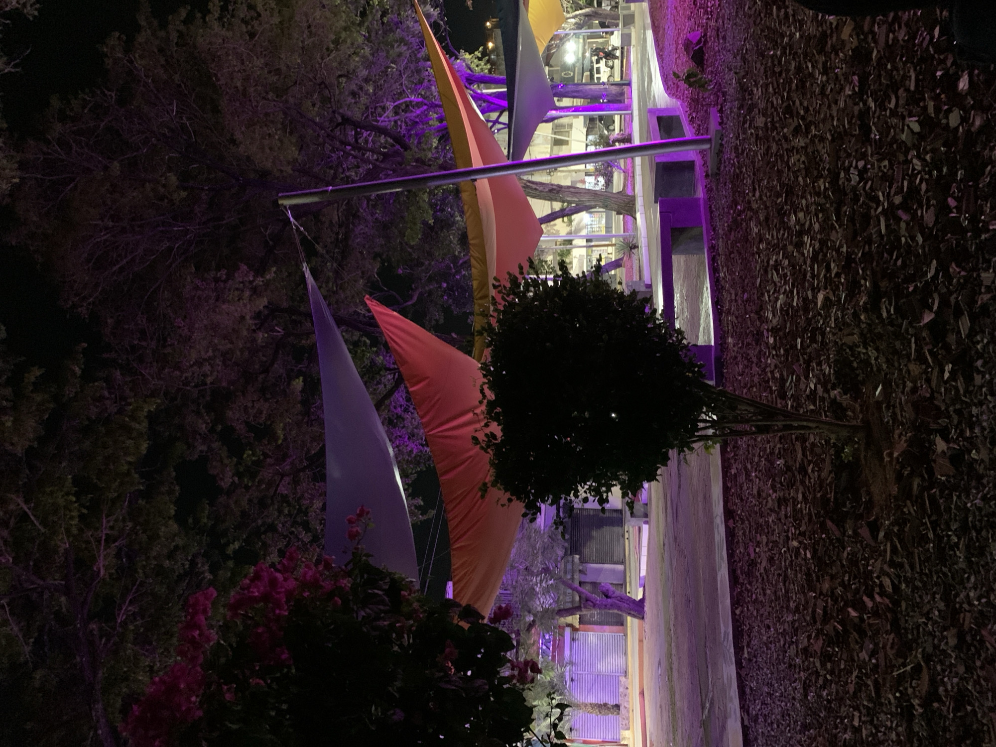 The image shows an outdoor scene in Juan Griego, Venezuela, possibly a restaurant or gathering place at night. Overhead, several brightly colored, triangular fabric banners (gray, orange, yellow) are suspended from a metal bar. Below the banners, there is a dark bush. In the background, illuminated structures with windows or openings can be seen, lit with purple lighting. A concrete wall and ground covered in fallen leaves are present on the right side of the image. On the left, there is a cluster of flowers or foliage. The photograph is taken from a low angle, tilting upwards.