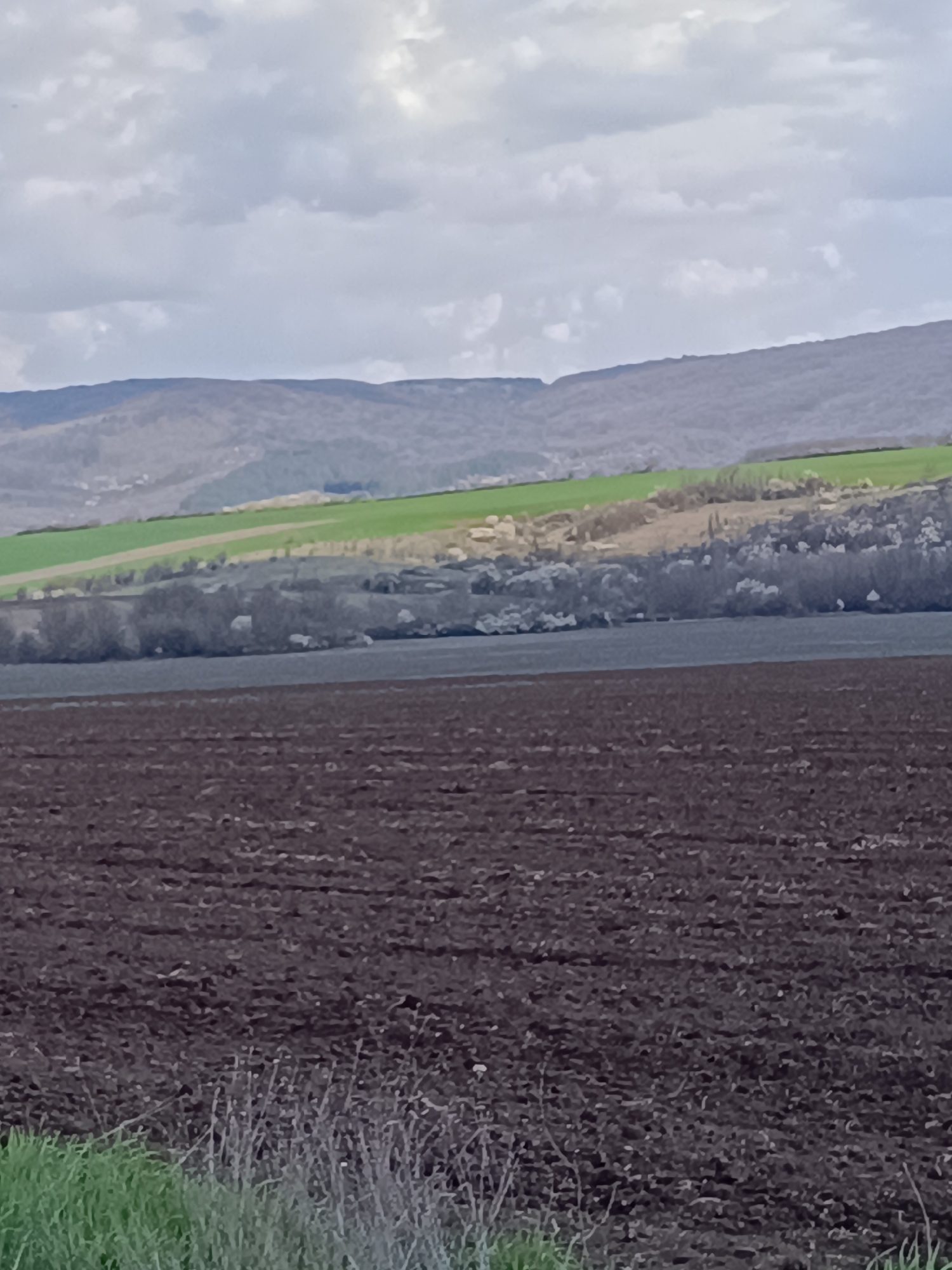 The image depicts a landscape in Vehtovo, Bulgaria, featuring a ploughed field in the foreground with dark brown soil. In the mid-ground, there is a transition to a band of bare trees and light-colored foliage, likely indicating early spring bloom. Beyond this, a strip of green field contrasts with the brown of the tilled earth. In the background, there are low mountains under a cloudy sky. No people or active subjects are visible, the scene is static and portrays a rural landscape.