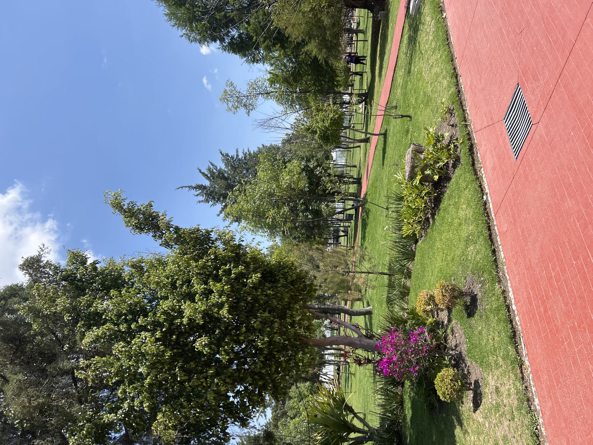 The image shows a park in Puebla, Mexico. A red brick walkway borders a green lawn. A red pedestrian path winds through the lawn, lined with trees and flower beds. Some people are walking on the path in the distance. The sky is blue with a few clouds. A tree dominates the foreground.