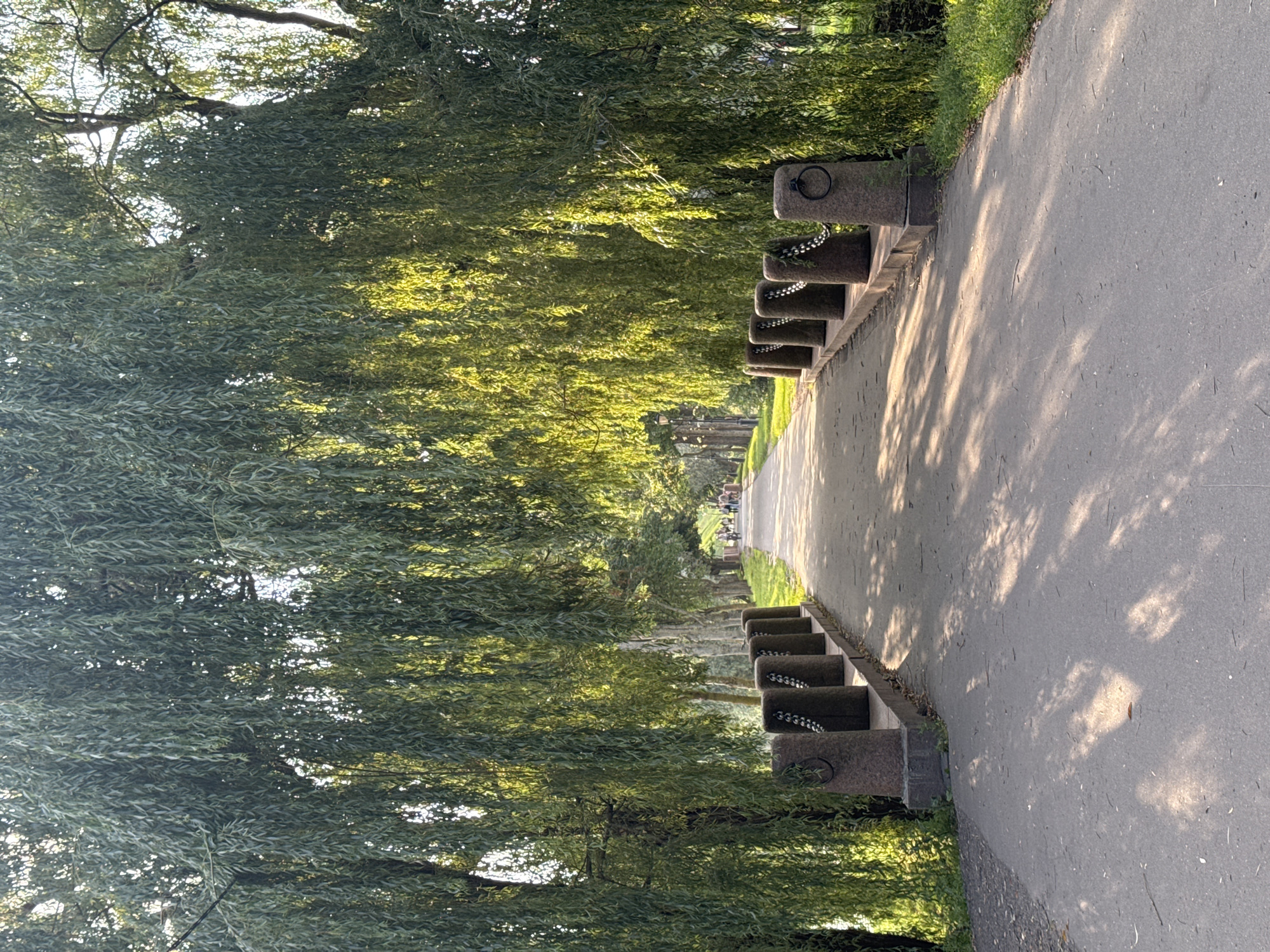 The image depicts a pathway in a park, likely in the city of Nesvizh, Belarus, framed by the hanging branches of weeping willow trees. The path is paved and appears to be a walkway or a light road, with a row of stone posts with metal rings and chains lining its right side. Sunlight filters through the leaves, casting dappled shadows on the path. In the distance, several people are walking or cycling, suggesting a recreational area. The overall impression is one of a serene, natural environment within an urban setting.