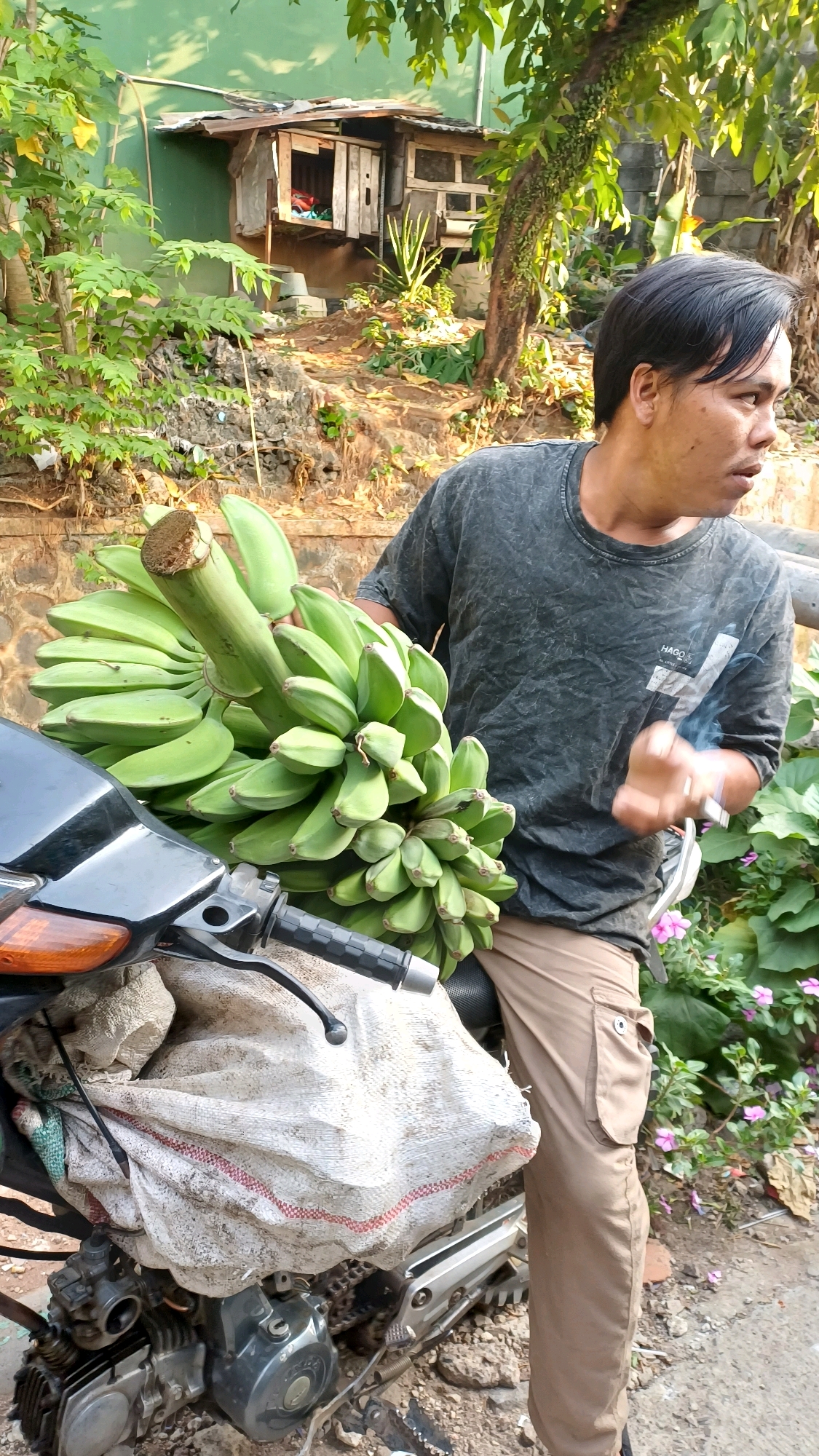 In Gunung Putri, Indonesia, a man is pictured standing next to a motorcycle loaded with a large bunch of green bananas. The man, wearing a dark gray t-shirt and tan cargo pants, is holding a lit cigarette and looking to his right. The motorcycle, partially obscured by a large burlap sack, has its engine and rear wheel visible. Behind the man and motorcycle, a small, rustic wooden structure is visible against a green wall, surrounded by foliage, rocks, and a dirt pathway. Pink flowers are growing in the background, and a tree with vines wraps around its trunk. The scene appears to be outdoors in a rural or semi-rural setting.