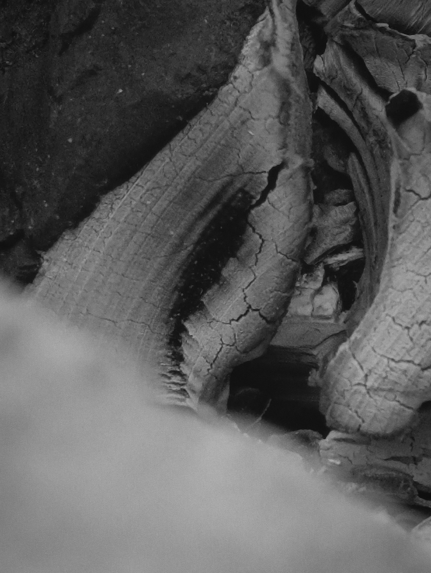 The image is a close-up, black and white photograph of charred wood, possibly embers from a fire. The wood is heavily cracked and textured, showing the grain and the effects of burning. In the lower left portion of the image, there is a blurred, smoky or misty area that obscures the lower part of the wood. The overall scene is dark and gritty, with a focus on the texture and decomposition of the wood. There are no people, actions, or interactions visible. The environment is undefined, but appears to be a natural or outdoor setting where a fire may have occurred.