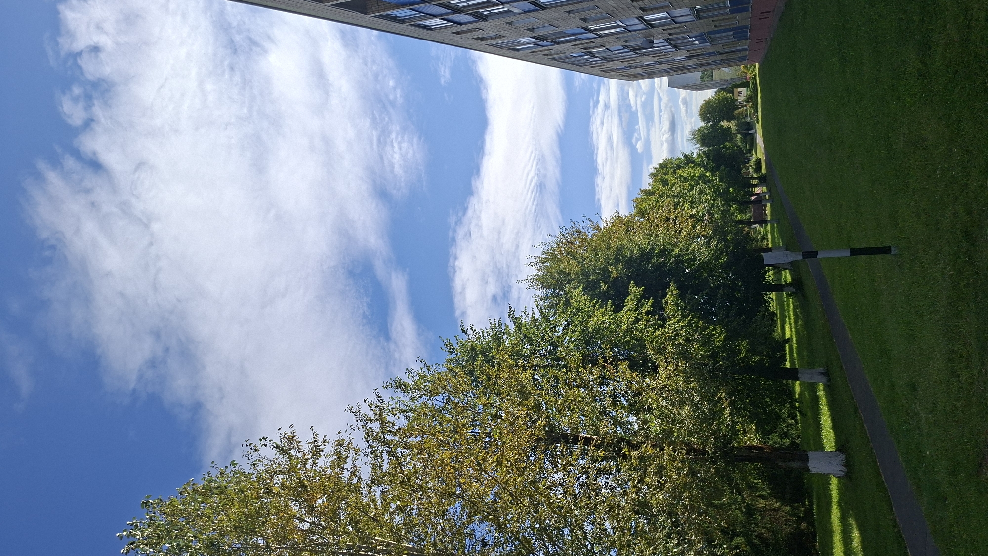 This is a vertical, eye-level, outdoor photograph of a modern residential building and a tree-lined path. The building, which is on the right side of the frame, is several stories high with a facade of light-colored brick and numerous windows. The path, made of dark asphalt, curves to the left into the distance, flanked by a well-maintained green lawn. A row of deciduous trees with green and yellowing foliage grows along the left side of the path, with their lower trunks painted white. The sky above is a vibrant blue with scattered white, wispy clouds. A black and white striped pole stands in the grass near the path. The scene is located in the city of Myadzyel, Belarus, specifically in front of a residential building complex.