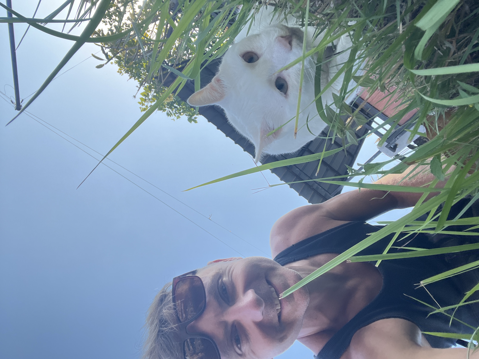 A low-angle, wide selfie captures a fair-skinned male, wearing a black tank top and sunglasses, smiling at the camera. He is in the foreground, partially obscured by tall green grass. To his right and slightly below him, a white cat with light brown eyes peers through the grass. The background reveals a clear blue sky with overhead wires, a portion of a building with a dark roof, and some green foliage. The lighting suggests it is daytime, likely outdoors. The overall scene appears to be casual and candid. The location is identified as Sukawati, Indonesia.