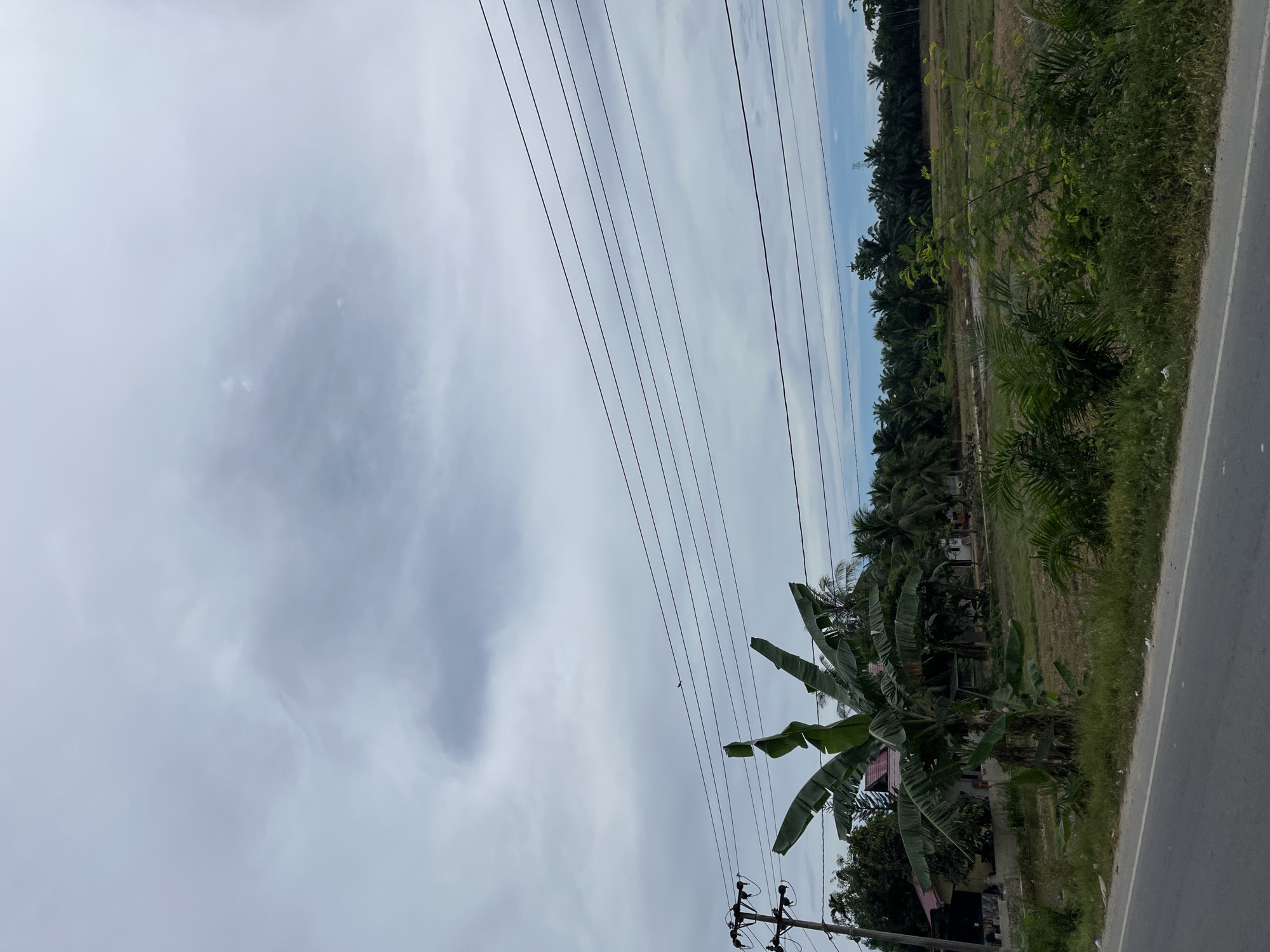 The image shows a rural scene in Seunebobaru, Indonesia, under a cloudy sky. A paved road runs along the bottom of the frame, with a grassy shoulder. To the left of the road, a utility pole with wires stands near a house with a red roof, surrounded by trees and vegetation, including a prominent banana tree. In the background, a field is visible, bordered by a dense line of palm trees. Several parallel electrical wires are strung across the upper portion of the image. A small bird is perched on one of these wires. The overall impression is of a quiet, somewhat overcast day in a tropical environment.