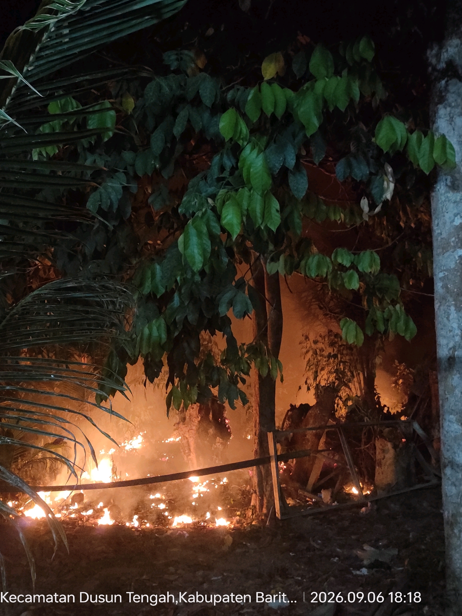 This image depicts a nighttime scene of a fire in what appears to be a rural or semi-rural area, likely in the city of Ampah Kota, Indonesia. The foreground is dominated by dense foliage, possibly palm fronds on the left and the leaves of a larger tree in the center. Behind the foliage, a significant fire is raging, with bright orange flames and thick smoke rising into the air. The fire is consuming vegetation and debris on the ground, creating an intense glow that illuminates the scene. In the background, silhouetted trees and structures are visible through the smoke. There is a simple wooden fence or railing in the middle ground, partially engulfed by the flames and smoke. The image has a timestamp and location imprinted at the bottom, reading "Kecamatan Dusun Tengah, Kabupaten Barito... | 2026.09.06 18:18". The overall impression is one of a dangerous and uncontrolled fire in a natural or semi-natural environment at night. No people are visible in the image.