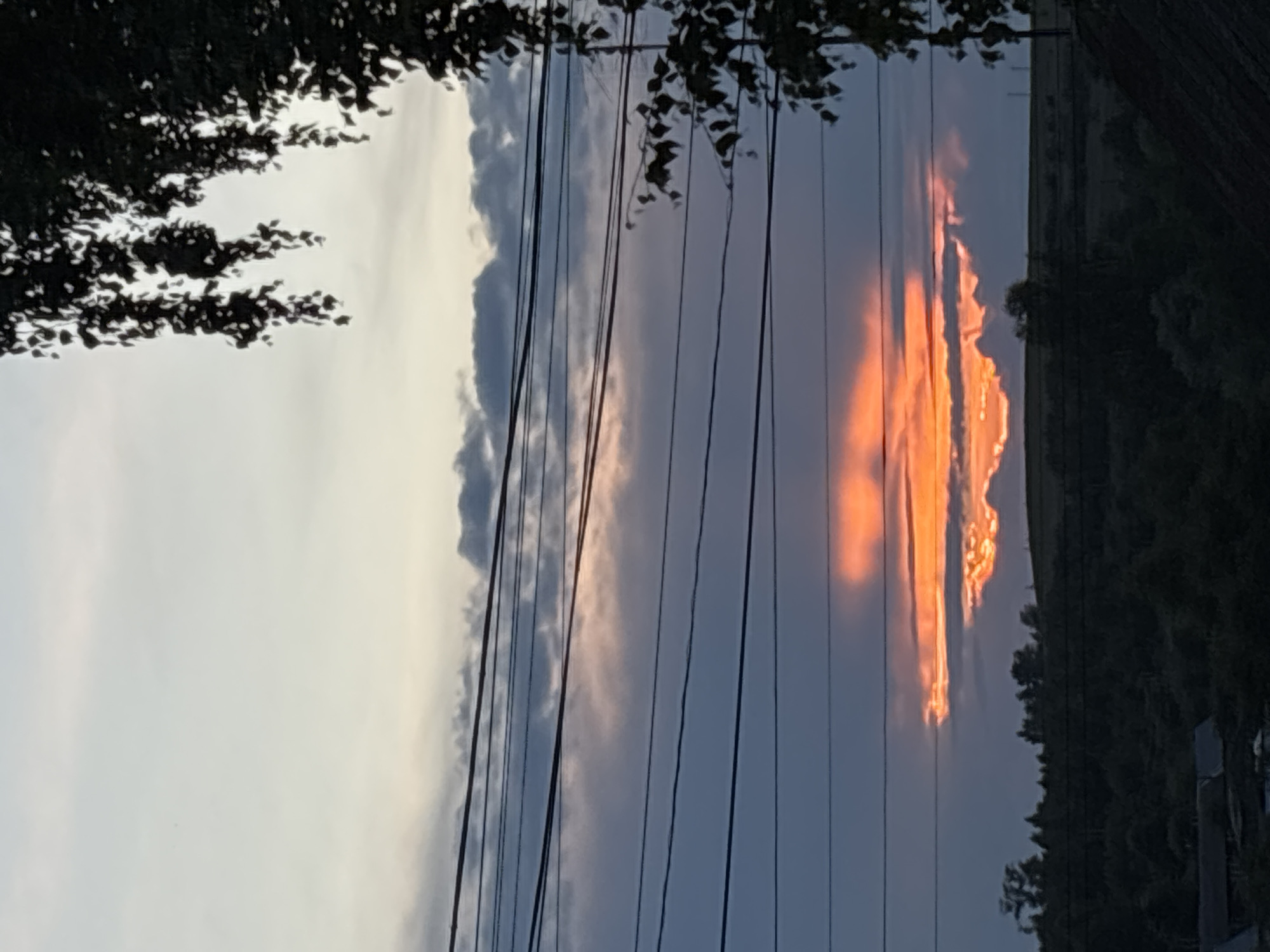 This media file captures a sunset scene in Фоки, Russia. The image is oriented vertically, showcasing a dramatic sky with clouds illuminated by the setting sun. The dominant colors in the sky are shades of gray, blue, and a vibrant orange-red from the sun's rays hitting the clouds. Several thin, black power lines crisscross the frame, partially obscuring the sky and adding a man-made element to the natural scene.
In the foreground, on the left side of the image, the dark silhouette of tree branches with leaves is visible against a lighter, hazy sky. To the right, beyond the power lines, a dark landscape unfolds, featuring trees and the subtle outlines of what appear to be structures or terrain, suggesting a rural or semi-rural setting. The overall mood conveyed is one of natural beauty and the transition from day to night, amplified by the striking colors of the sunset and the linear elements of the power lines. The time of day is clearly sunset, with the weather characterized by clouds that are catching the sunlight. No text is visible in the image.
