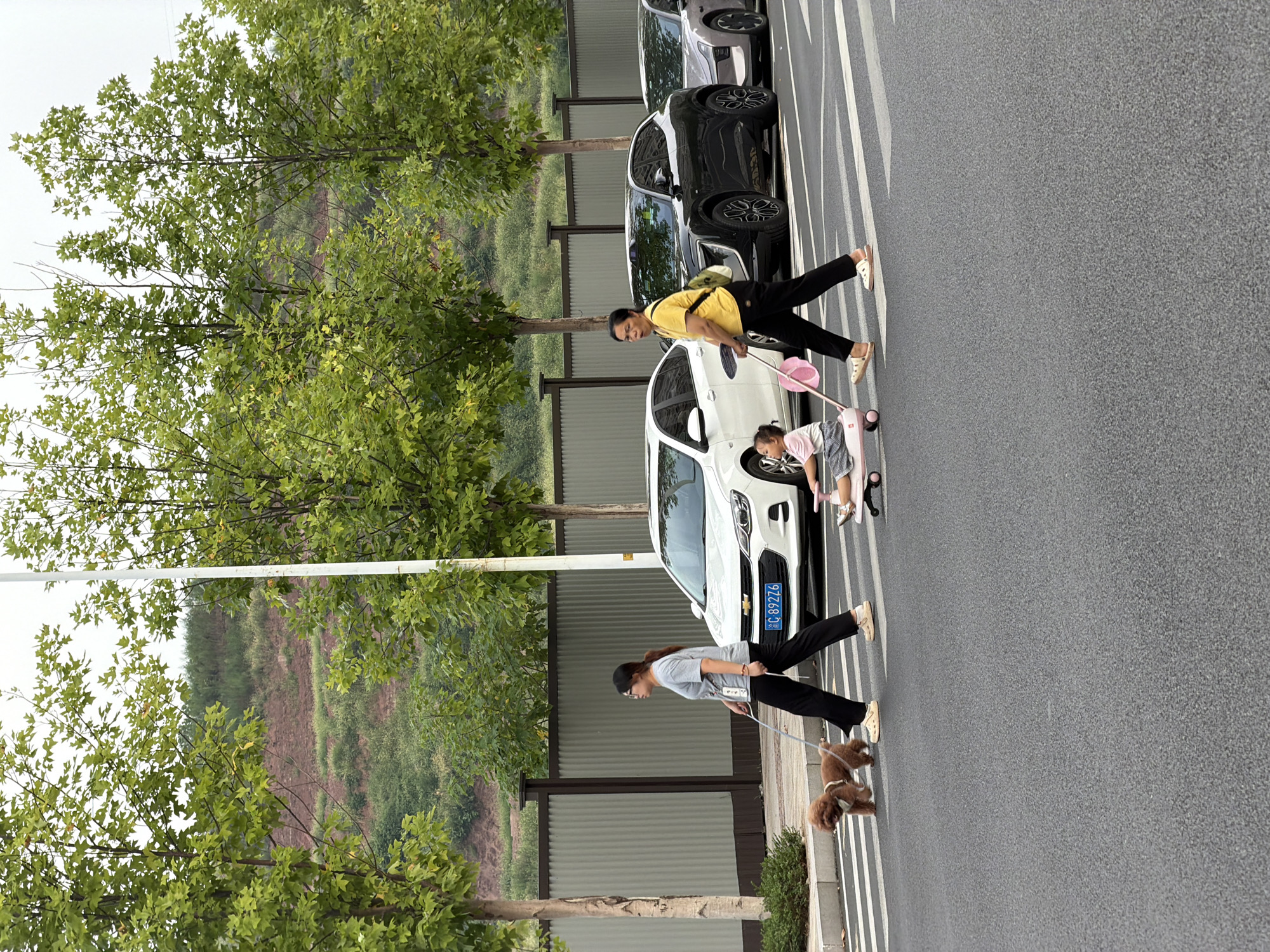 Two women and a child are crossing a street in Jiangjin, China, on a cloudy day. The woman on the left is walking a small brown poodle on a leash. The woman on the right is pushing a child in a pink ride-on toy. The child is wearing a pink and white outfit. Both women are wearing casual clothing. Behind them, several cars are stopped at the crosswalk, including a white Chevrolet sedan, a black SUV, and a silver sedan. The street is lined with trees and a fence. The background shows a grassy hill.