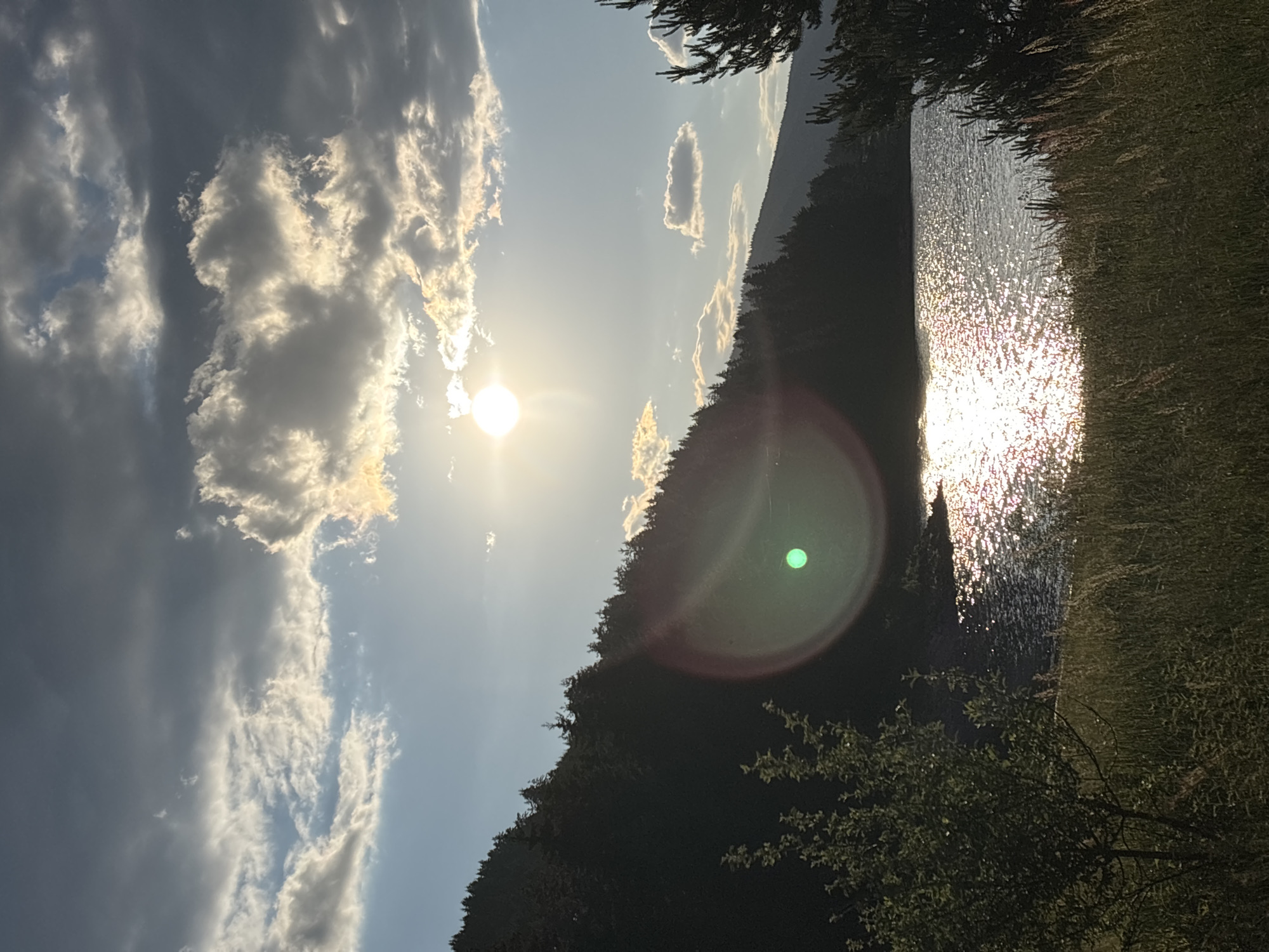 A wide-angle, handheld shot captures a natural landscape at sunset, with the sun prominently featured in the upper center of the frame. The sun's rays are diffused by clouds, creating a bright, hazy effect. A lens flare, appearing as a green circle with concentric rings, is visible in the lower left quadrant of the image. The foreground consists of tall, dry grass and a small tree on the left. A dense, dark forest covers the hillside in the middle ground, sloping down towards a body of water. The water's surface is shimmering with reflected sunlight. In the background, mountains are silhouetted against the bright sky. The sky is a mix of blue and gray clouds, with patches of sunlight breaking through. No people or man-made structures are visible.