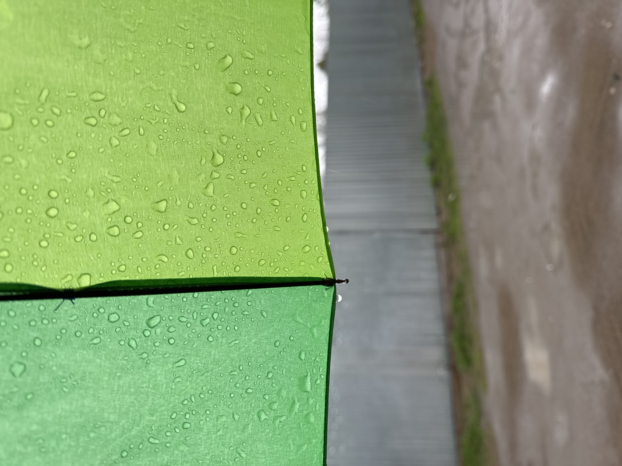The image depicts a close-up view of a green umbrella with water droplets on its surface. The umbrella is positioned in the foreground, with a path and a concrete wall visible in the background. The concrete wall has a narrow strip of green vegetation along its base. The location in the city of Chaikovsky, Russia, is not directly identifiable within the image, as there are no discernible landmarks or contextual clues to confirm it.