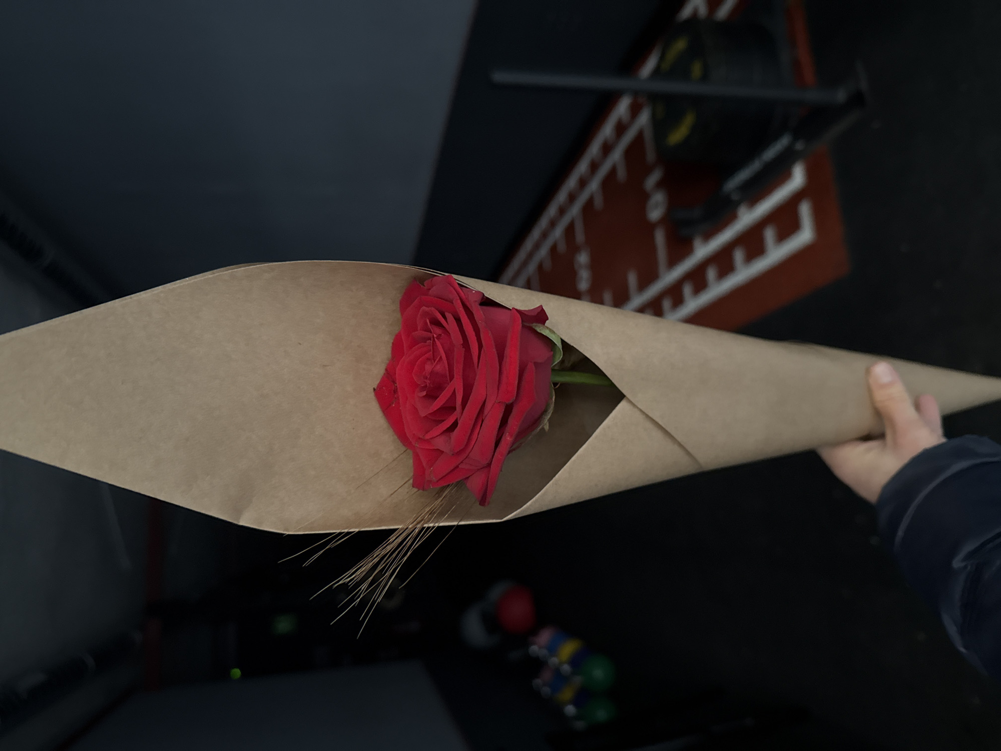 A close-up shot features a single vibrant red rose, elegantly wrapped in a cone-shaped cover of light brown kraft paper. A few delicate, straw-like stems or dried grasses are visible beneath the rose, adding a natural detail to the wrapping. A person's hand, partially visible on the right side of the frame with a dark sleeve, is holding the wrapped rose, suggesting an act of giving or receiving.
The background is heavily blurred and dark, indicating an indoor environment with subdued lighting. In the upper right quadrant, a red surface, possibly a mat or platform, displays blurry white numerical markings, including what appears to be "10," "20," "30," and "40," suggesting a measurement scale. Above this, a dark, metallic structure, likely part of gym equipment such as a weight rack or exercise machine, is faintly discernible. Towards the lower center of the background, very out-of-focus colorful, spherical objects, possibly weights or gym balls in red, green, and blue, add indistinct shapes to the dark setting.
The scene appears to take place within a gym or fitness center, given the visible equipment. The act of presenting a rose typically conveys sentiments of affection, appreciation, or celebration. While the exact time of day is not clear due to the indoor lighting, the overall dimness might suggest evening. Although the context provided indicates Barcelona, Spain, there are no specific visual cues within the image itself to confirm this location.