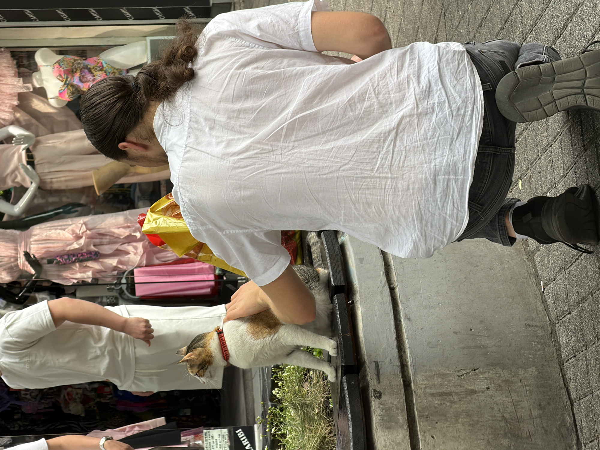 A person wearing a white shirt and dark jeans is standing on a brick sidewalk. The person is petting a calico cat with a red collar sitting on a dark-colored bench. The cat is facing left. A second person in a white outfit is partially visible to the left of the cat, with an arm extended towards it. The scene appears to be in front of a store with a window display of clothing and other items. A small patch of greenery is growing beneath the bench. Signs with Cyrillic letters are visible at the bottom of the frame.
Based on the Cyrillic lettering and architectural style, it is likely that the location of the photograph is in the city of Plovdiv, Bulgaria. Further confirmation with the sign "АРИБИ" (ARIBI) is available.