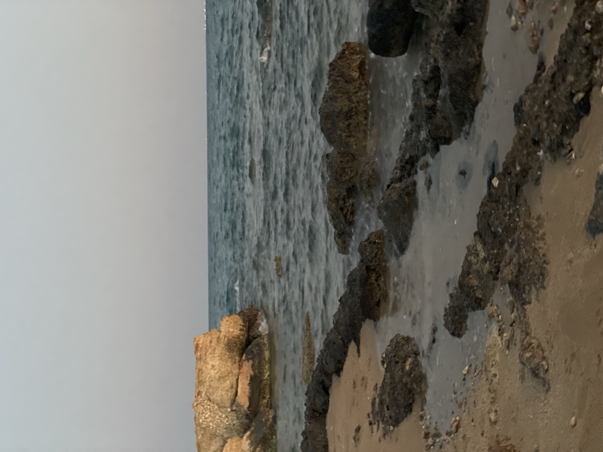 The image depicts a rocky shoreline with the sea in the background. The foreground shows wet sand and dark, irregularly shaped rocks protruding from the sand and shallow water. A larger, lighter-colored boulder sits on the left side of the frame, partially submerged by the sea. The water is choppy with small waves. The sky is a pale, overcast gray. The scene is likely the coast of Trikomo, Northern Cyprus. No people or specific actions are visible.