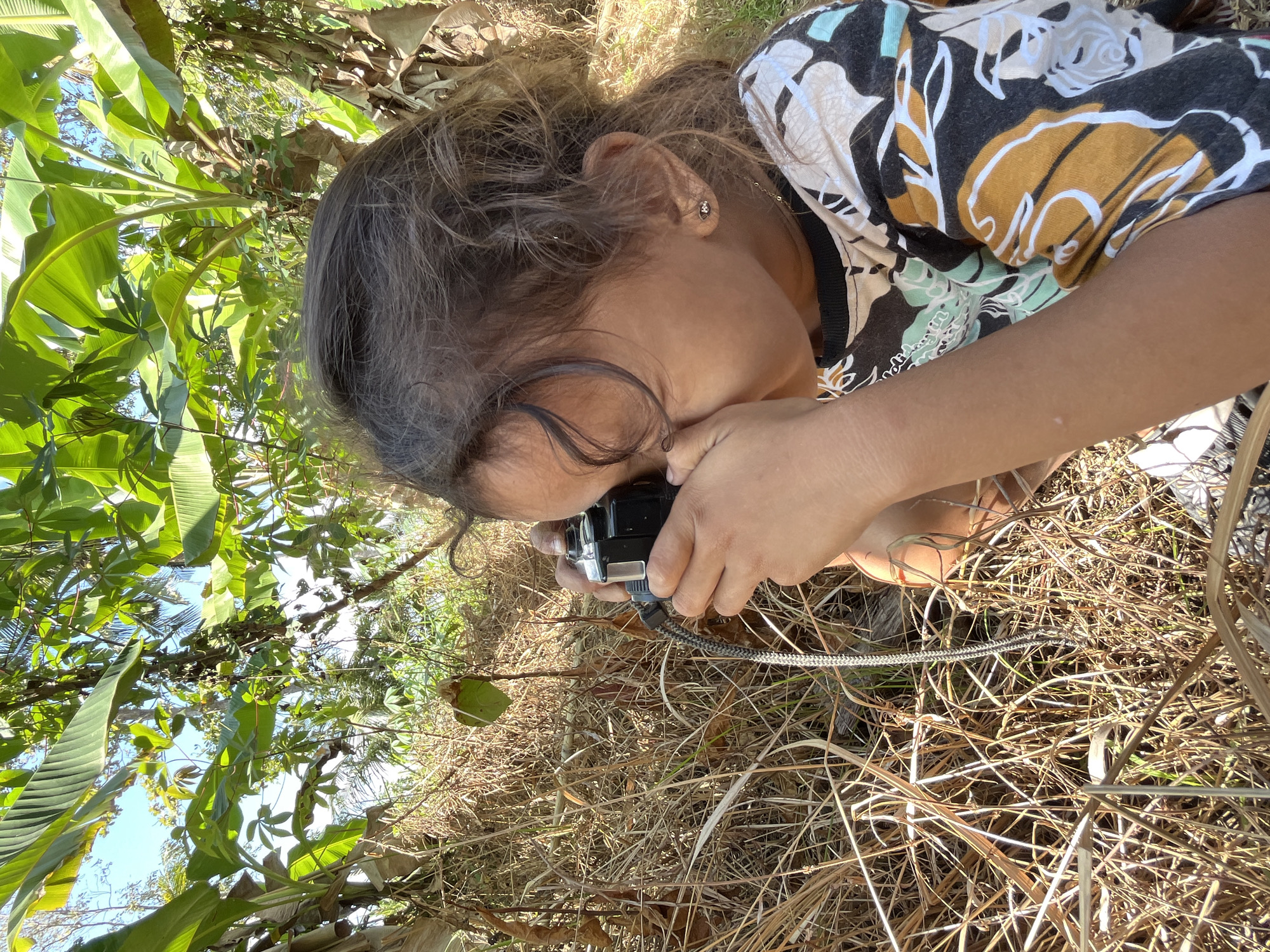 In Tambakreja, Indonesia, a young girl, likely of Indonesian ethnicity, is captured in a close-up shot, focused on her interaction with an old-fashioned camera. She is positioned outdoors, surrounded by dry grass and lush green banana trees, suggesting a rural or semi-rural environment. The girl's face is partially obscured as she looks through the viewfinder of a black camera, which she holds with both hands. A silver strap is attached to the camera and hangs down. She is wearing a colorful t-shirt with a black neckline and a pattern of white, yellow, black, and light green shapes. Her hair is dark and curly, with some strands falling across her forehead. The background consists of dry, straw-like vegetation and large, broad green leaves of banana plants, with glimpses of a clear blue sky overhead. The lighting indicates it is daytime, with sunlight illuminating the scene.