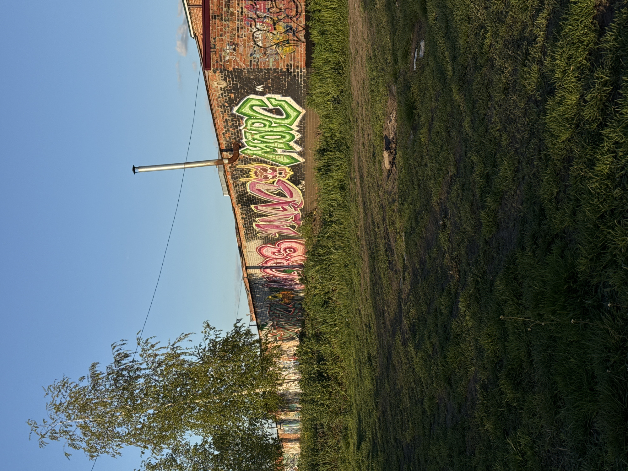 The image displays an outdoor scene featuring a brick building covered in graffiti, a patch of tall green grass, and a clear blue sky. The photograph appears to have been taken in bright daylight, likely late afternoon or early morning, given the warm light on the building and the subtle shadows.
The main subject is a section of a brick wall, part of which is painted black. On this black section, two prominent pieces of graffiti are visible. The upper graffiti, in bright green with white outlines, clearly spells "GROW." Below it, another piece, rendered in pink and purple with white outlines, appears to read "FLOW." Above these, other smaller and more intricate graffiti tags are present on the brickwork.
A slender, silver metal chimney or vent pipe extends upwards from the building's roofline on the left side of the frame. A thin black utility wire also crosses the clear, expansive blue sky.
The foreground is dominated by a dense area of tall, slightly wild green grass, suggesting an undeveloped or unmaintained space next to the building. On the far left, the top portion of a deciduous tree with light green leaves is visible. The setting conveys an urban or industrial environment, possibly an abandoned or neglected area, where art has found a canvas. No people or activities are explicitly taking place within the frame.