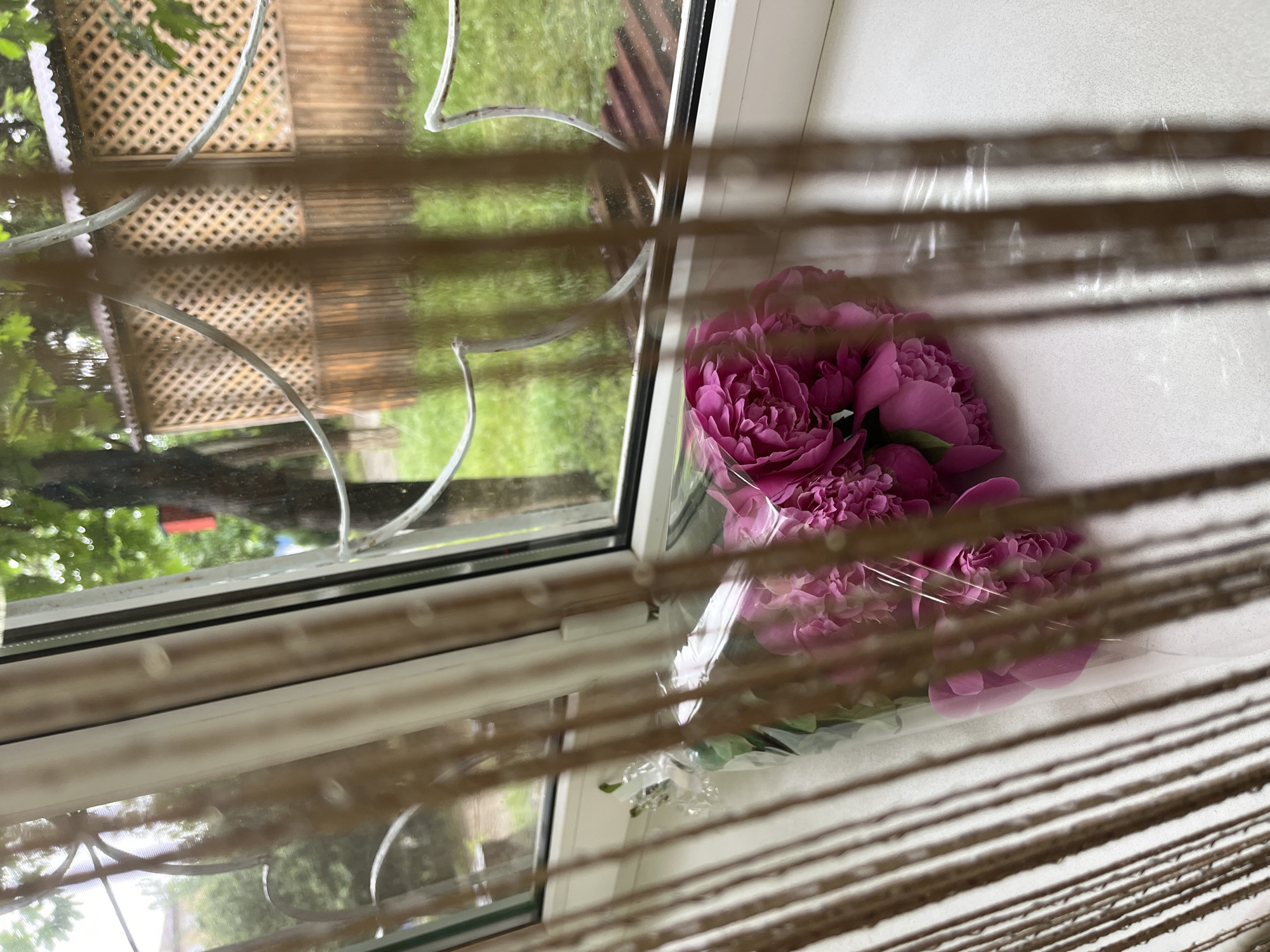 The image shows a bouquet of pink peonies in a clear plastic wrapper resting on a white windowsill. A window with a decorative metal frame is visible, looking out onto a blurred view of a garden or yard with greenery and a wooden structure. Venetian blinds partially obscure the view. The location is Kaspiysk, Russia.
