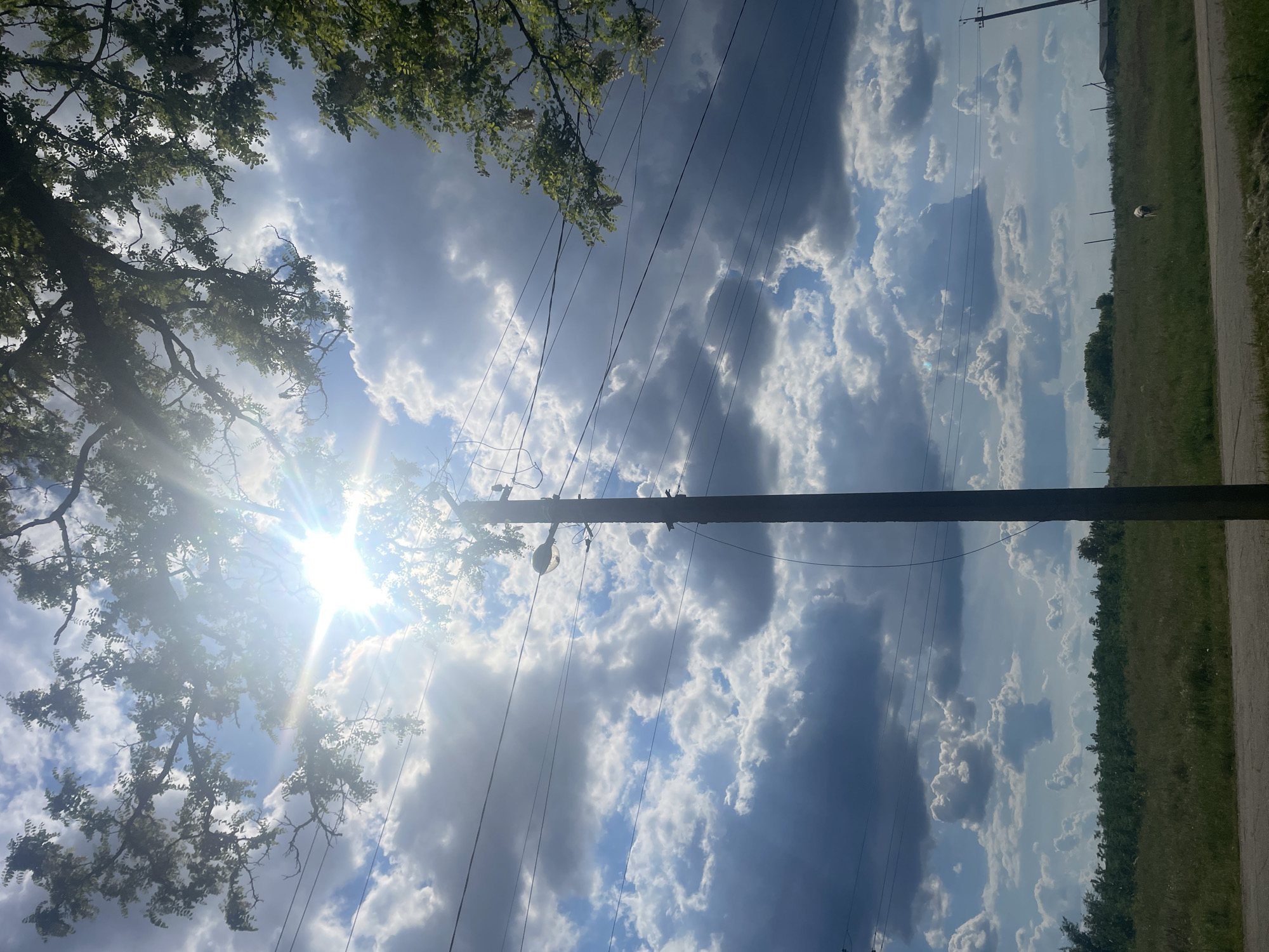 The image depicts a rural or semi-rural landscape in Zelenyi Hai, Ukraine, under a dynamic sky. The sun, positioned in the upper center-left, emits a strong flare and starburst effect, partially obscured by tree foliage and illuminating patches of bright blue sky. Numerous cumulus clouds, varying from white to dark grey, are scattered across the sky, with denser formations towards the upper right and lower left.
In the upper section of the image, dark green tree branches with dense foliage and clusters of light-colored blossoms (possibly acacia) frame the bright sky. A prominent wooden utility pole stands vertically in the center, extending from the bottom edge upwards, supporting multiple black power lines that stretch horizontally and diagonally across the mid-ground. A street light fixture is attached to the left side of the pole.
Below the utility infrastructure, a narrow, dark-colored paved road runs horizontally across the lower foreground. Beyond the road, an expansive field of green and dry grasses extends into the distance. A line of dense green vegetation, possibly bushes or small trees, crosses the mid-ground. In the far distance, faint outlines of structures and additional utility poles are visible. A small, light-colored figure, possibly a person or an animal, is discernible in the grassy field on the far right, moving away from the viewer.
