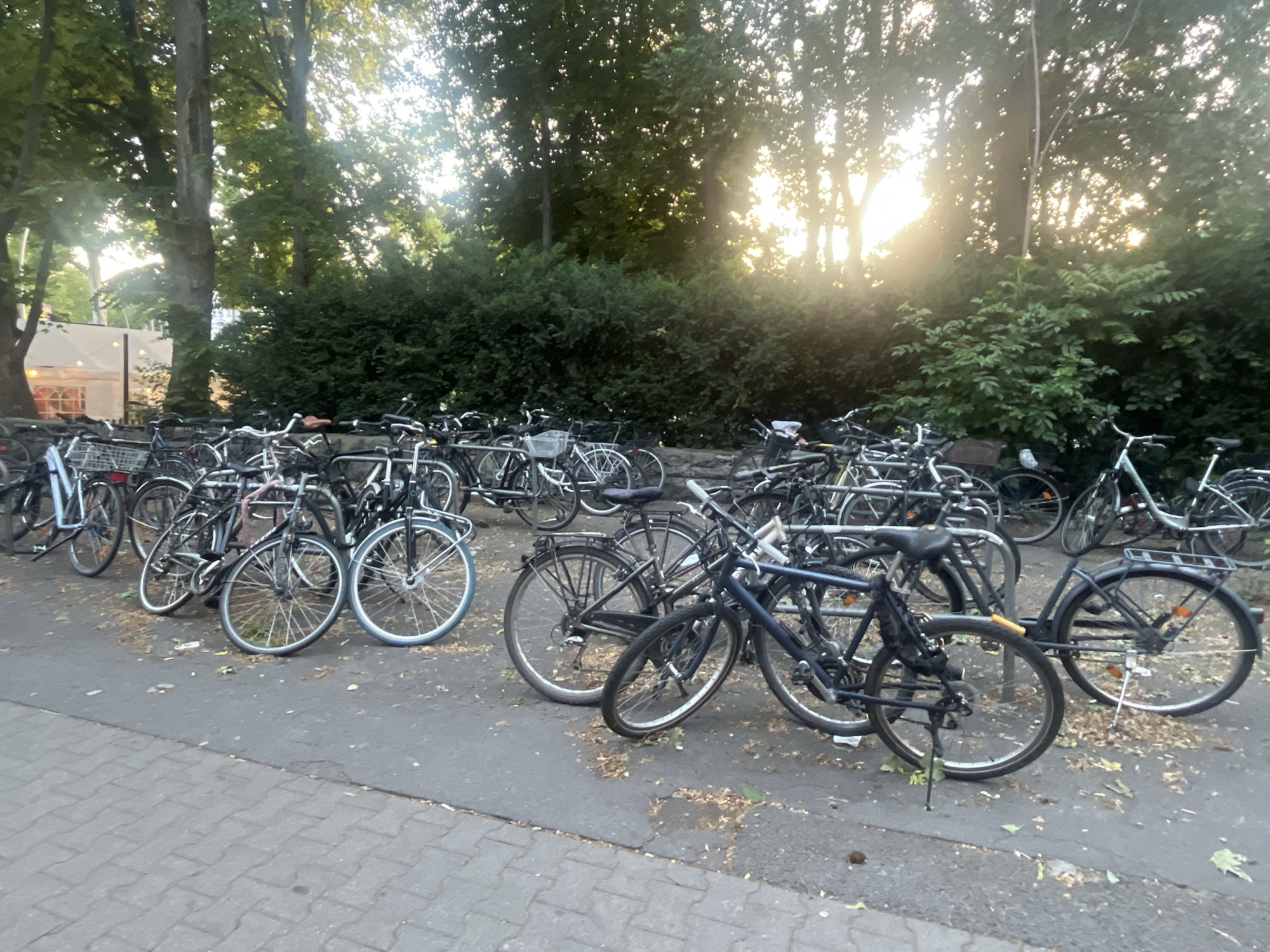 The image shows a large outdoor bicycle parking area filled with numerous parked bicycles. The scene is located in Berlin, Germany. The bicycles are predominantly parked on asphalt, with some also on a paved walkway. They are of various types and colors, including many dark-colored ones, and some with lighter frames and fenders. Many of the bicycles are locked with chains. The background consists of dense green trees and foliage, with sunlight filtering through the leaves, suggesting it is daytime. There are no people visible in the image. The overall impression is of a busy urban setting with a high volume of bicycle usage.