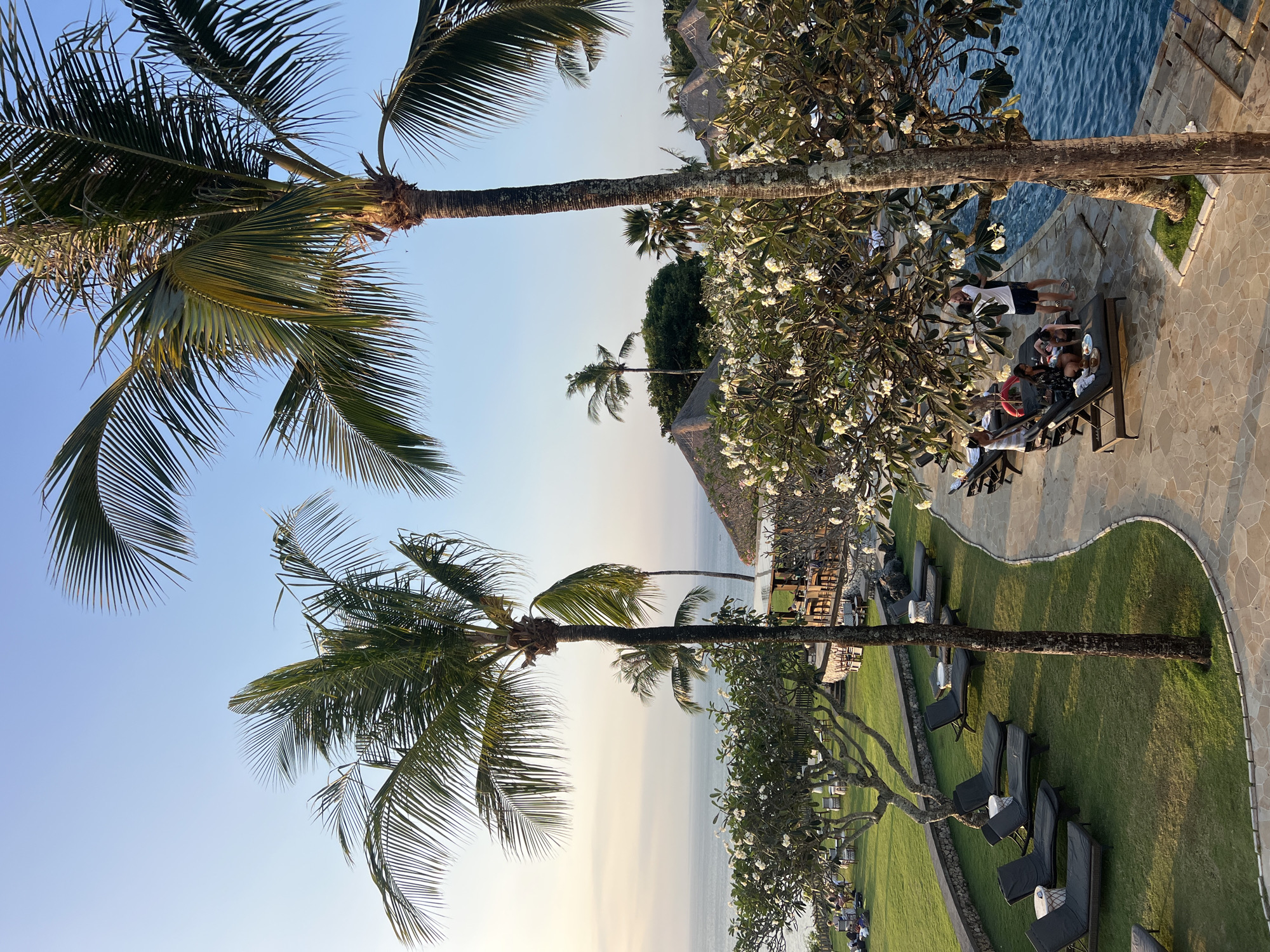 The image depicts a resort scene in Kuta Selatan, Indonesia, likely during the late afternoon or early evening. In the foreground, several dark-colored lounge chairs are arranged on a manicured green lawn, some occupied by individuals. Palm trees with lush fronds dominate the upper portion of the frame, their leaves casting shadows. A tree with white flowers is situated near a swimming pool, its branches extending over the water. Several thatched-roof huts are visible in the background, set against a backdrop of the ocean and a clear blue sky. A paved pathway runs alongside the pool, connecting different areas of the resort. A group of people are gathered near the pool, some standing and interacting, while others are seated on lounge chairs. The overall atmosphere suggests a relaxed vacation setting.