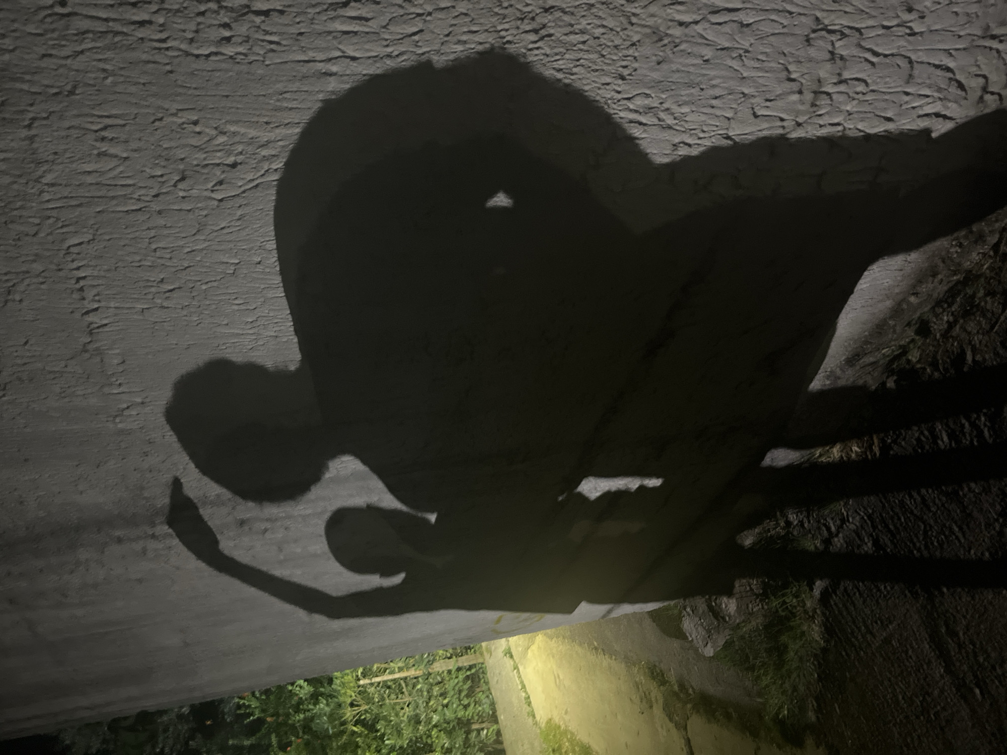 The image depicts a shadow cast on a textured, possibly concrete, surface. The shadow appears to be that of two individuals, one adult and one smaller figure. The larger shadow is partially obscured and distorted, while the smaller shadow is clearer, showing a figure with an outstretched arm. The ground and some vegetation are visible in the lower portion of the image, with what appears to be foliage and the edge of a walkway or structure. The environment is dark, suggesting it is nighttime or a dimly lit location. Based on the context and the given information, it is plausible that this image was taken in Budva, Montenegro, in an outdoor location where a light source is casting the shadows onto a surface.