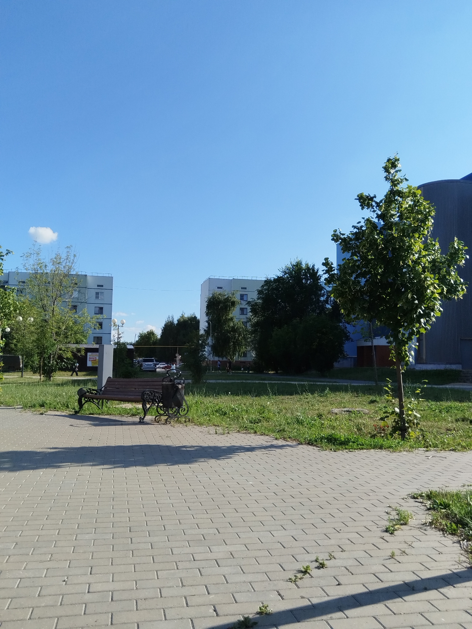 The image depicts an outdoor scene on a clear day, likely in the city of Roshchinsky, Russia. In the foreground, a grey brick pathway stretches across the bottom half of the frame. To the left and slightly behind the pathway, a dark-colored park bench with ornate metal legs and a trash receptacle are situated on a patch of green grass.
Beyond the bench, two multi-story apartment buildings with light-colored facades and numerous windows are visible. A few trees and dense foliage are scattered between the buildings and in the midground. Further to the right, a tall, slender building with a ribbed grey exterior, possibly a modern structure or industrial building, is partially visible, with a small, leafy green tree in front of it. The sky is a solid, bright blue with a single small white cloud. People are sparsely present, with a few individuals walking in the background near the apartment buildings and vehicles are parked in the distance. The overall atmosphere suggests a residential area during daytime.