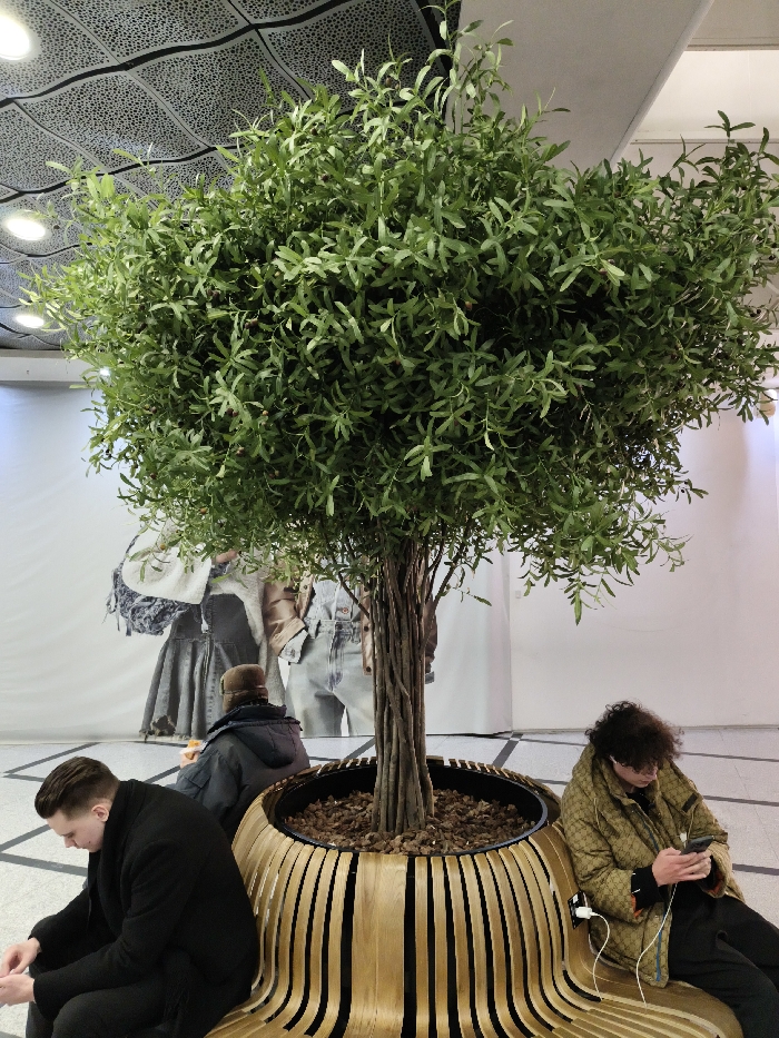 A large olive tree, with a thick trunk, sits in a circular wooden bench. Three people are seated around the base of the tree. A man in a black coat is on the left, and another person is wearing a dark blue coat. A person wearing a brown coat is on the right and looking at a mobile phone. In the background is a large poster with images of people wearing clothing. The floor is tiled and the ceiling has a modern design with round lights.
