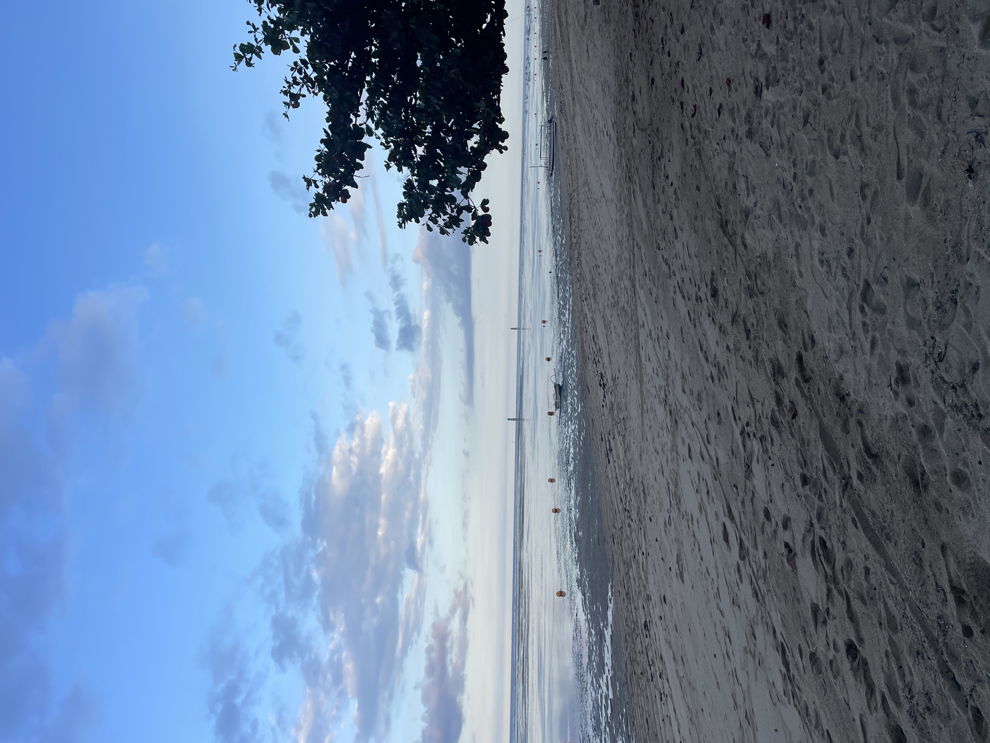 The image captures a tranquil beach scene. The foreground features a sandy beach, likely wet from the receding tide, with scattered footprints. To the left, the sky transitions from a clear blue to a soft, cloud-filled horizon. A dark, leafy tree branch hangs in the upper left corner, providing a natural frame. In the distance, the water meets the sky in a hazy horizon, marked by several orange buoys. A small boat rests on the water. The location could be in the coastal area of Denpasar, Indonesia, given the tropical vegetation and beach environment. The image lacks people or specific actions.