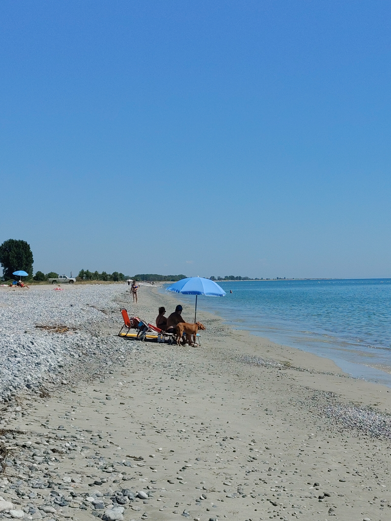 The image depicts a sunny day at a pebble and sand beach with calm turquoise water. In the foreground, a person is sitting in an orange beach chair under a large blue umbrella, accompanied by a brown dog. To their left, another person is partially visible, also under the umbrella. Further to the left, a person in a red chair is also present. In the mid-ground, a woman in a bikini walks along the shoreline. Further in the distance, several people are visible on the beach, and a white pickup truck is parked near a line of trees. The sky is clear and bright blue. The overall scene conveys a relaxed beach atmosphere.