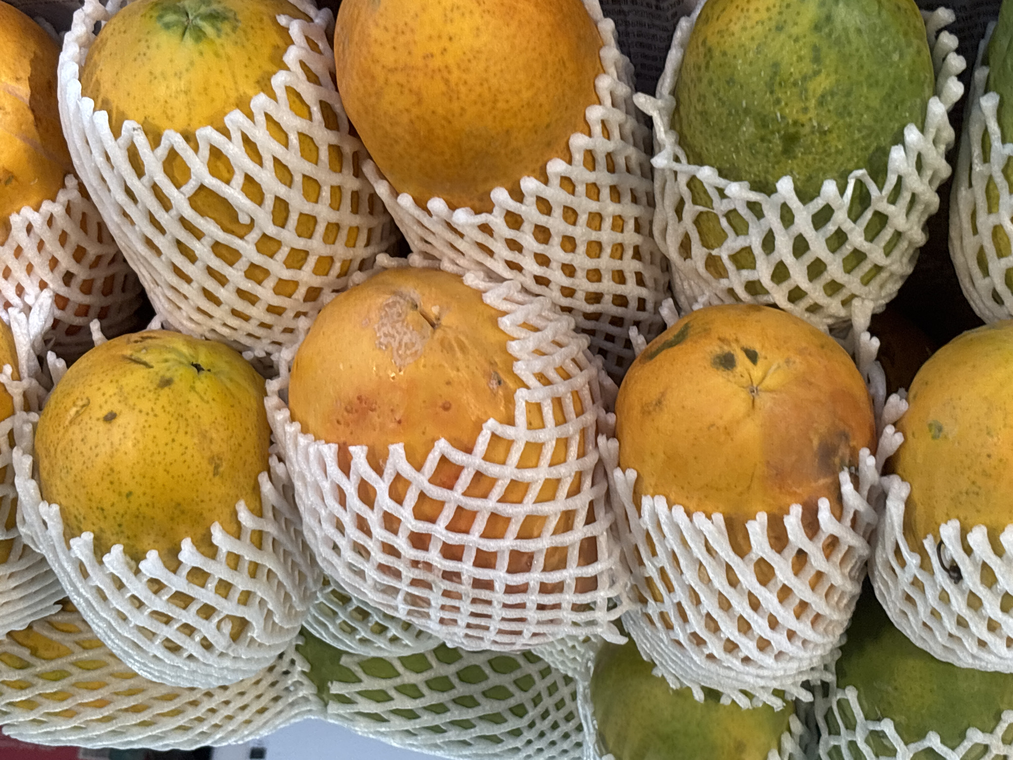 A close-up, high-angle shot shows a stack of papayas wrapped in white foam netting. The papayas are in various stages of ripeness, ranging from green to yellow and orange. The foam netting has a square mesh pattern. The background contains newspaper print visible between the fruits. Based on the location mentioned in the prompt (บ้านบางรักษ์, Thailand), it can be inferred that these papayas are likely being sold at a local market or roadside stand.