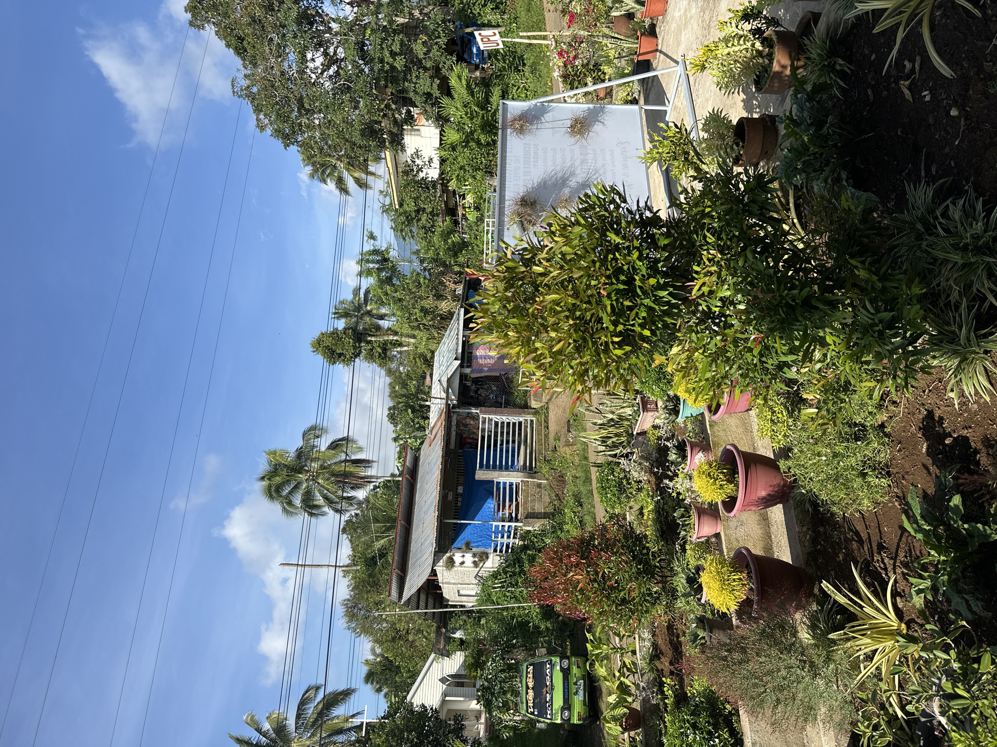 The image shows a residential area in Davao City, Philippines, under a bright blue sky with scattered clouds. Power lines stretch across the top left of the frame. A small, possibly older, house with a galvanized iron roof and blue tarp covering a section is visible behind a lush array of plants and trees. The house has a white gate and steps leading up to it. The foreground is filled with various potted plants arranged along a concrete path or wall. A green Suzuki mini truck with the word "PARACAT" on it is parked near the lower left corner of the image. In the middle-ground, a sign with writing on it stands amidst the greenery. The area appears to be well-maintained with a variety of plant life, indicating a cared-for environment.