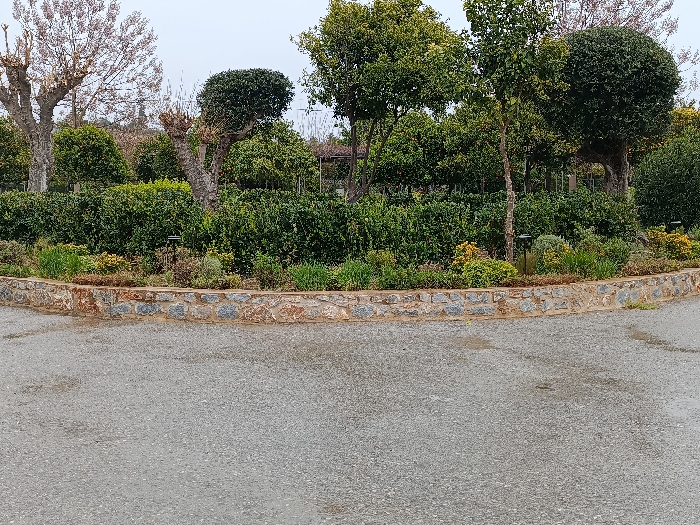 The image displays an outdoor landscape scene within the Gytheio Municipal Unit, Greece, captured under an overcast sky. The lower half of the frame shows a grey, granular paved surface, consistent with asphalt, appearing damp or recently wet. This pavement meets a low, curved retaining wall constructed from irregular, rough-hewn stones, exhibiting a mix of grey and reddish-brown tones. Immediately behind this wall lies a cultivated garden bed containing various low-growing plants, predominantly green foliage with some patches of yellow and reddish vegetation. Several dark-colored, cylindrical garden lights are discreetly placed within this bed. The background is dominated by a dense arrangement of mature trees and shrubs; some trees feature thick, bare, gnarled branches, while others are covered in lush green foliage, forming a thick barrier. No individuals, animals, or specific actions are visible within the depicted environment.