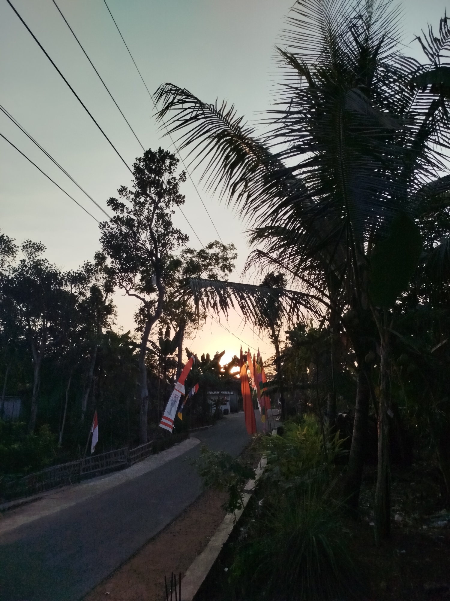 The image depicts a quiet, paved road in Sewurejo, Indonesia, likely at dusk or dawn due to the warm, diffused light. The sky is a pale gradient of blue and yellow. Tall, leafy trees and palm trees line the road, their silhouettes dark against the sky. Several flags, some appearing to be Indonesian flags with red and white stripes, are hung along the road, suggesting a local celebration or event. The road itself is empty of vehicles and pedestrians. A low wooden bridge or railing is visible on the left side of the road. The overall scene conveys a sense of rural tranquility and the end of a day.