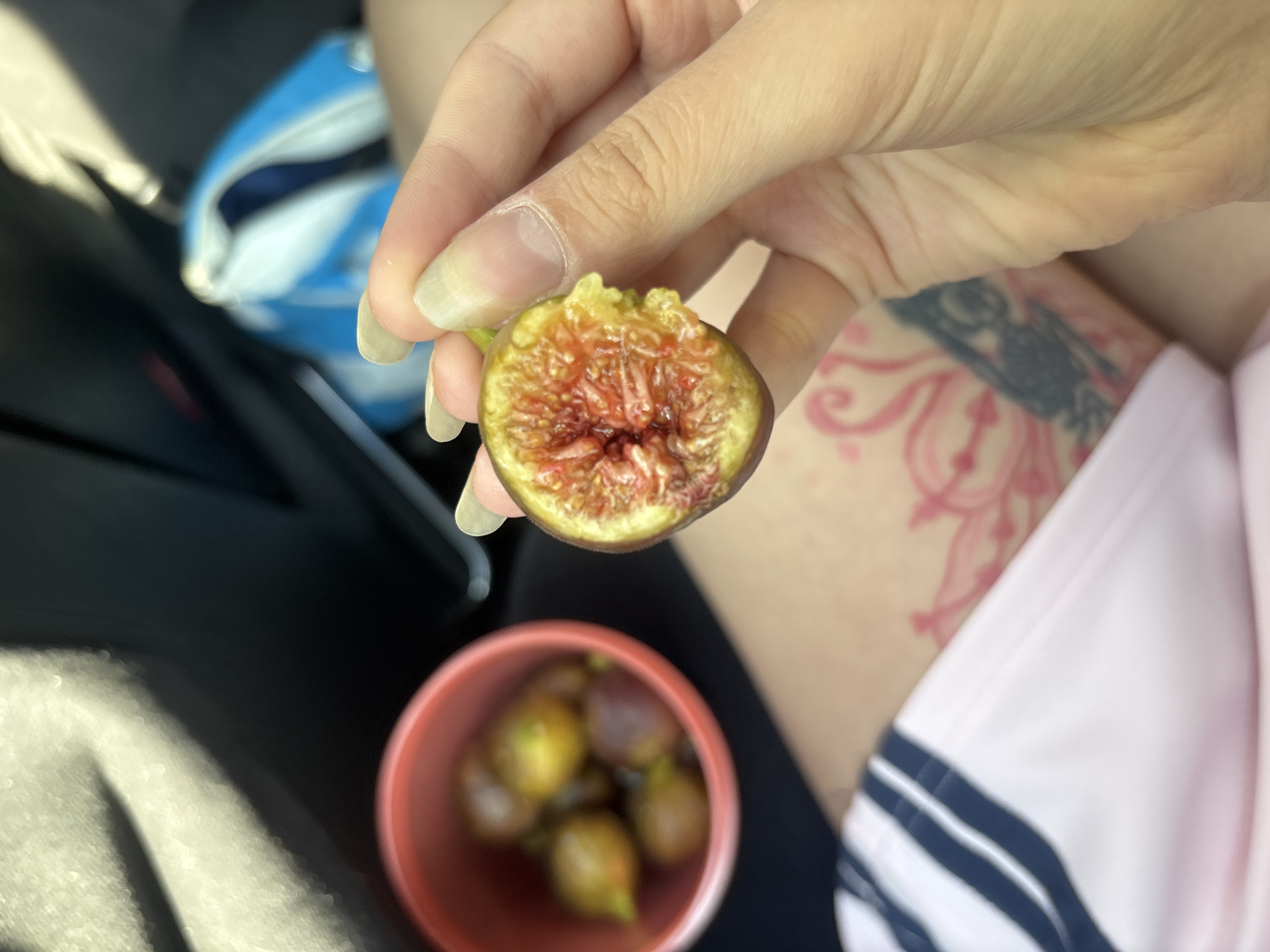 The image shows a close-up of a person's hand holding a halved fig. The fig has a dark purple exterior and a vibrant red, seedy interior. In the background, a small red bowl is filled with whole figs. To the right, a blue and white bag is visible, and further back, a dark surface suggests the interior of a vehicle. The person's leg, with a tattoo, is also in the foreground. The scene appears to be inside a car, on a sunny day. The image does not contain any information related to the city of Ignatitsa, Bulgaria.