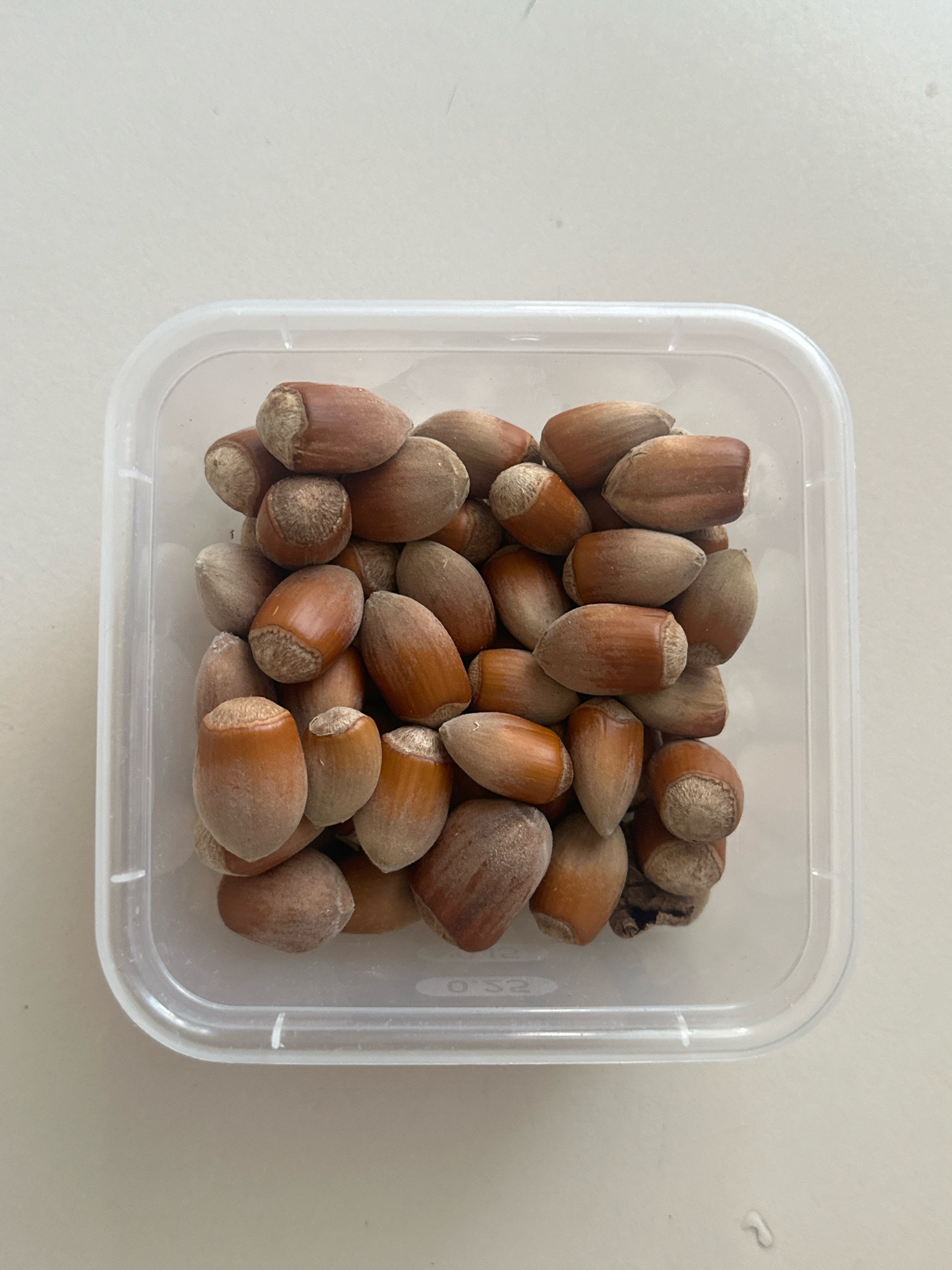 A transparent square plastic container filled with hazelnuts sits on a light-colored, smooth surface. The container's lid is not present. The hazelnuts are whole, with their shells intact, and vary in shades of brown. Some hazelnuts show a lighter brown tip where they were attached to the cluster. The container is positioned slightly off-center in the frame, taking up the majority of the image space. The background is a plain, uniform light color, suggesting an indoor setting with minimal ambient light. There are no people or any other objects present in the scene. The location of Gyumri, Armenia, is not discernible from the visual information provided in the image.